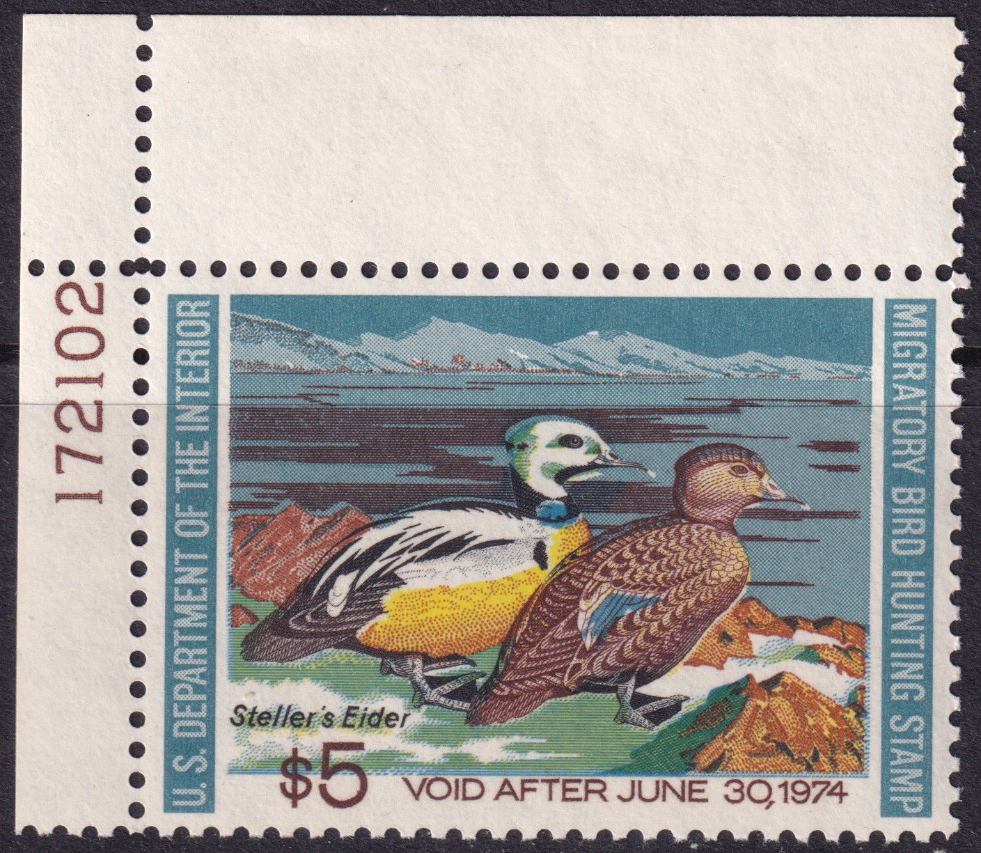 Stamp Picture