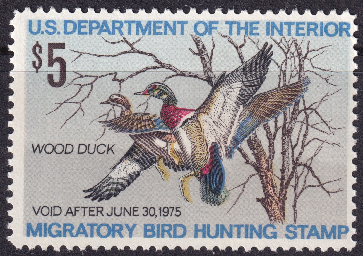 Stamp Picture
