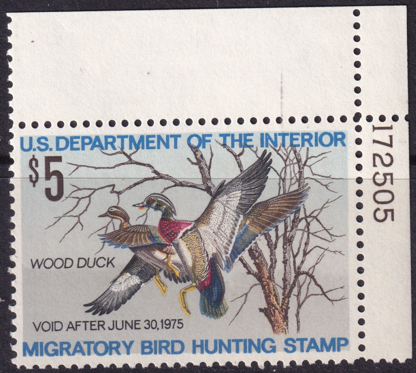 Stamp Picture