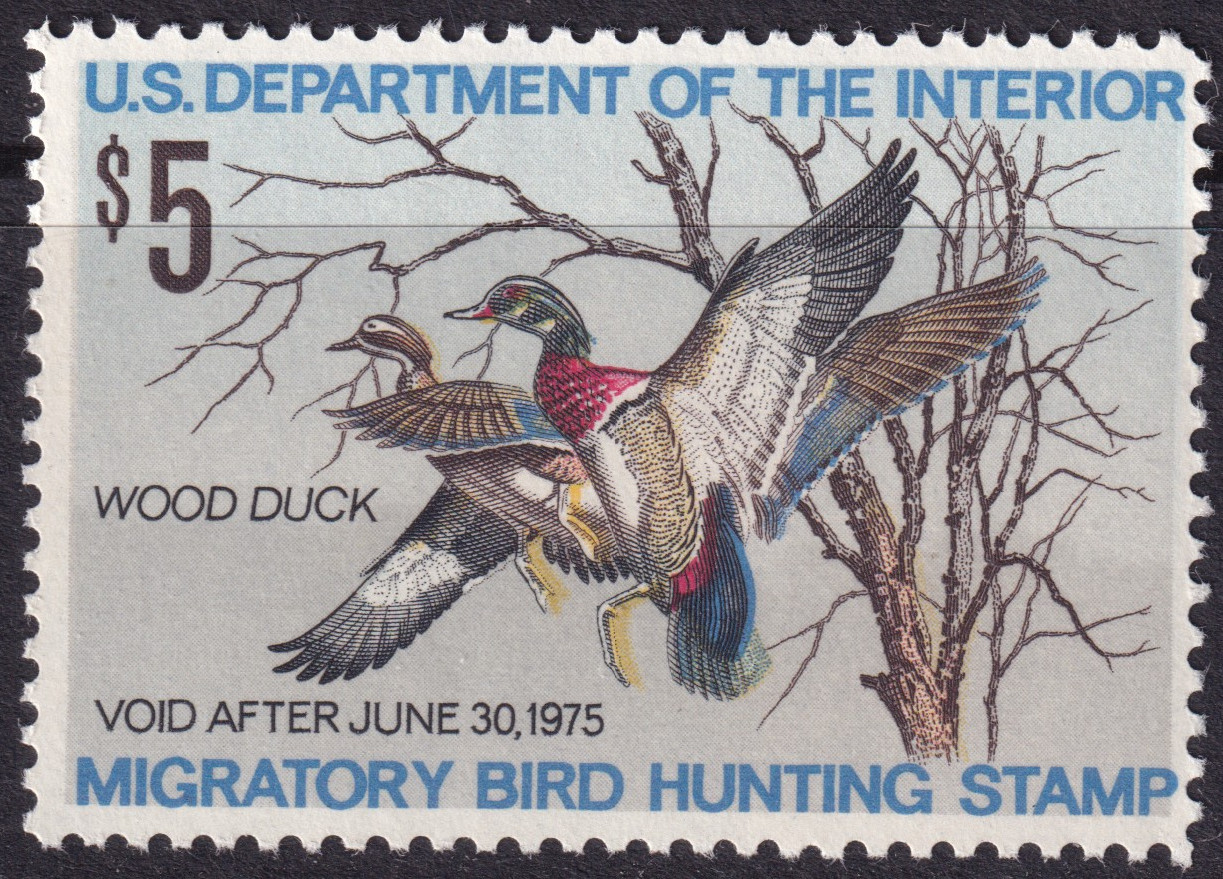 Stamp Picture