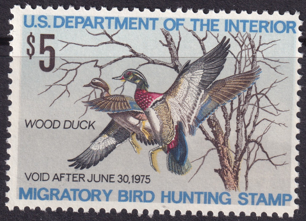 Stamp Picture