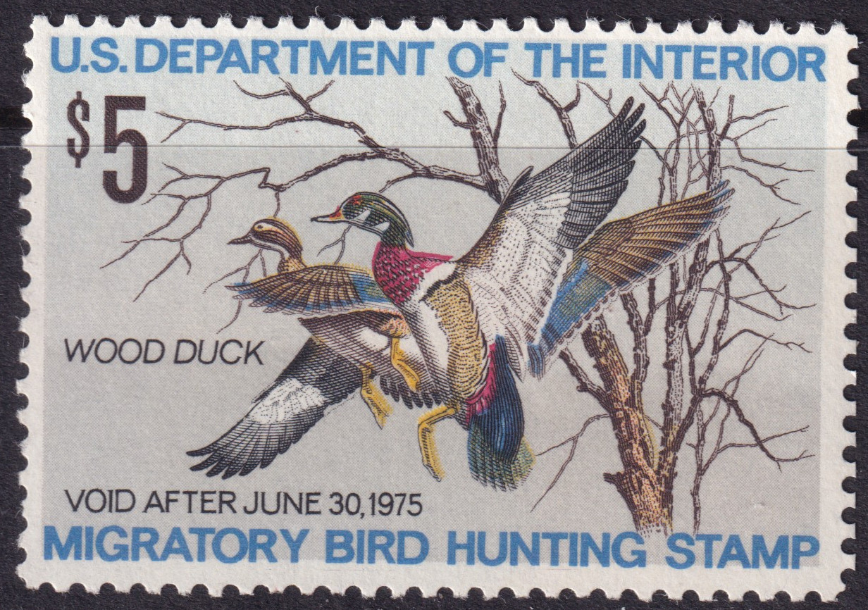 Stamp Picture