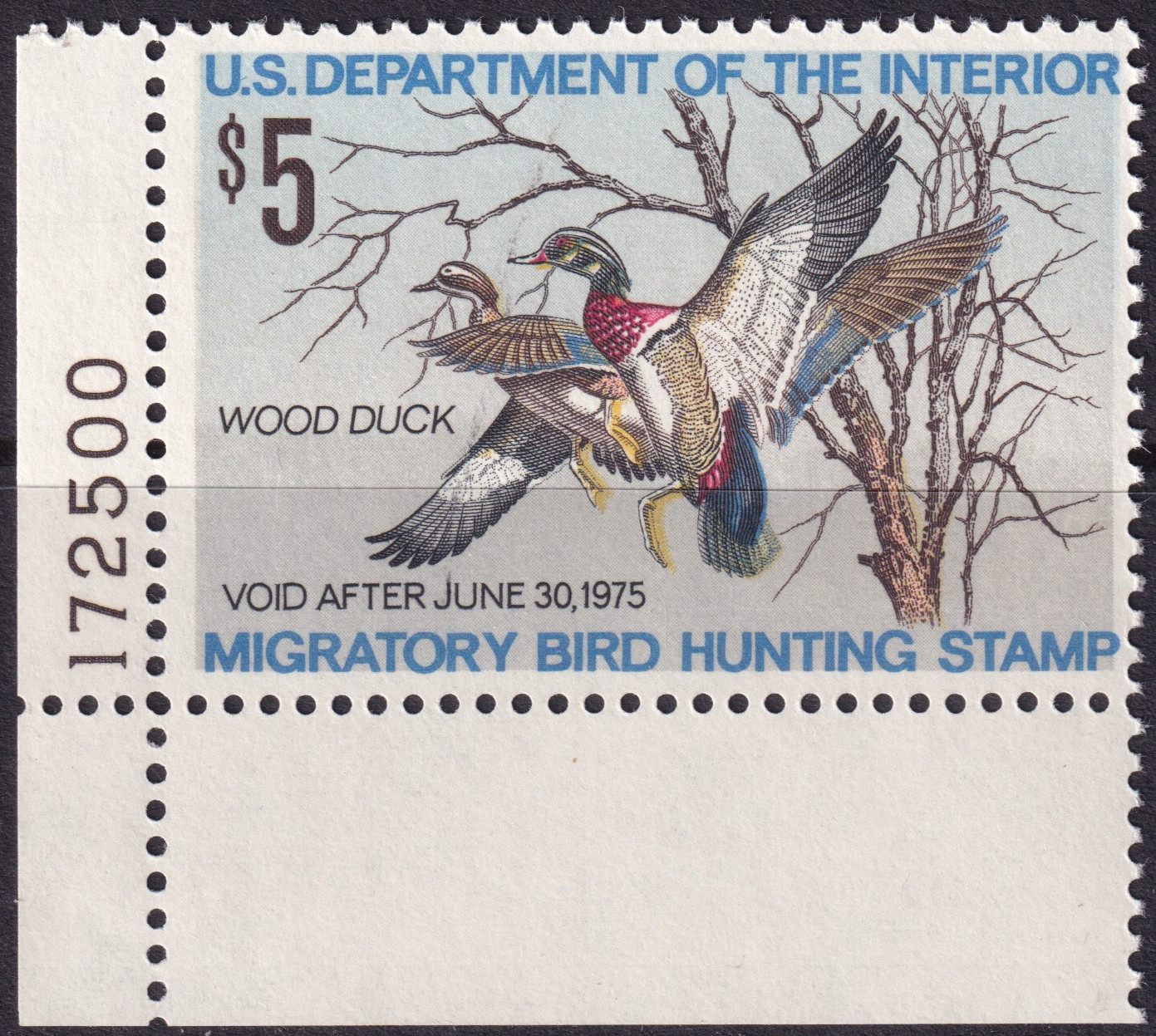 Stamp Picture