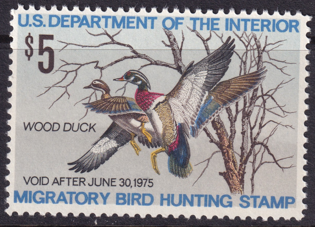 Stamp Picture