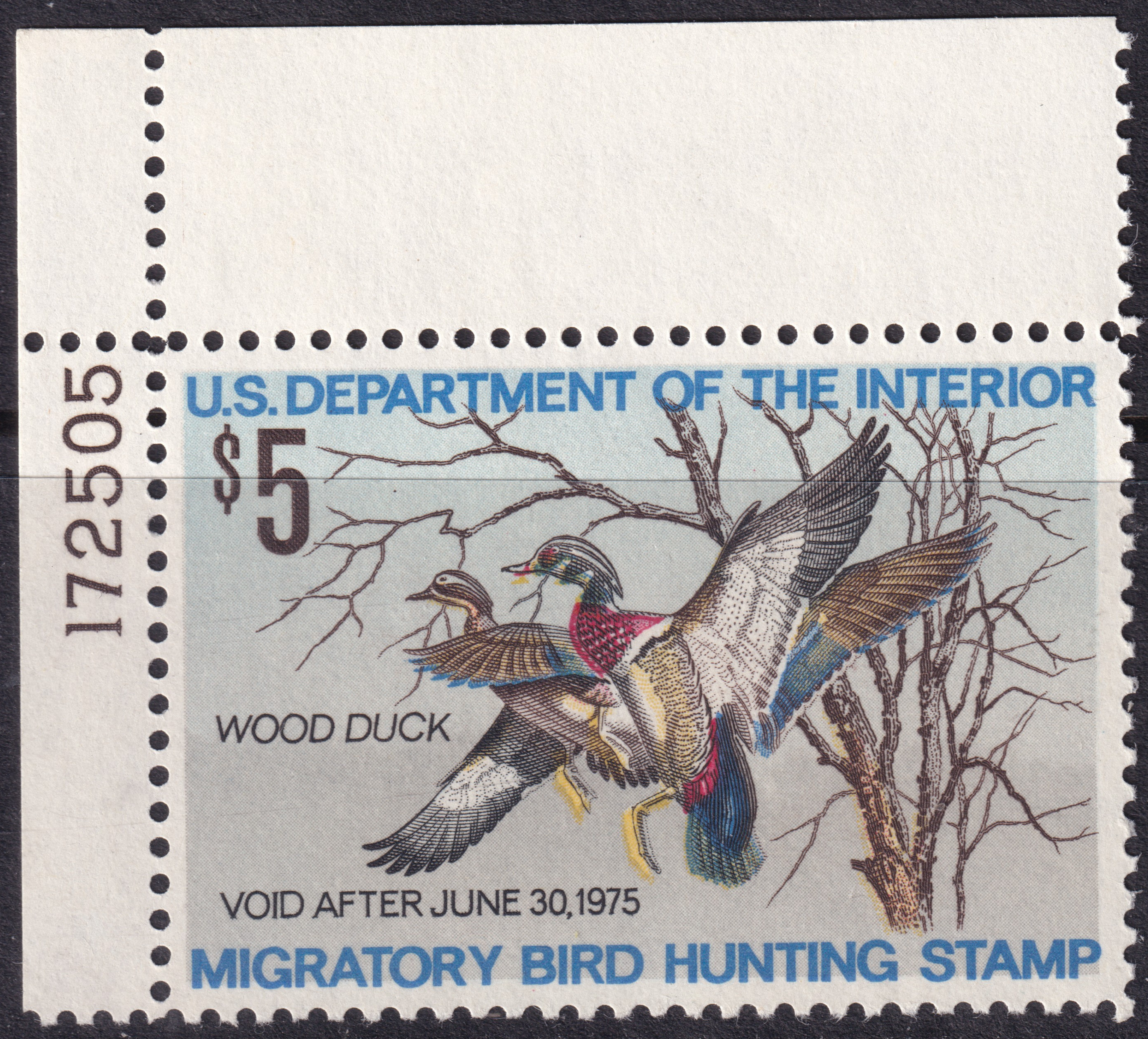 Stamp Picture