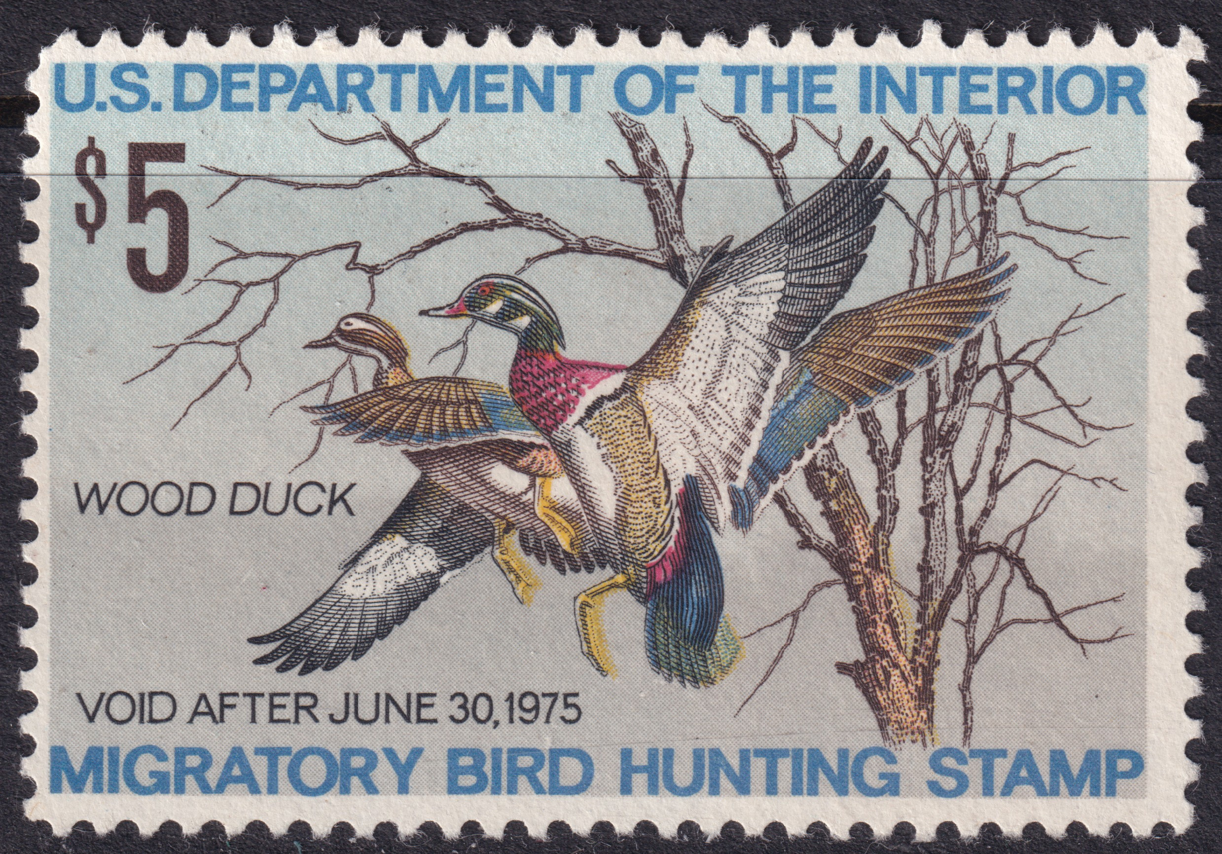 Stamp Picture