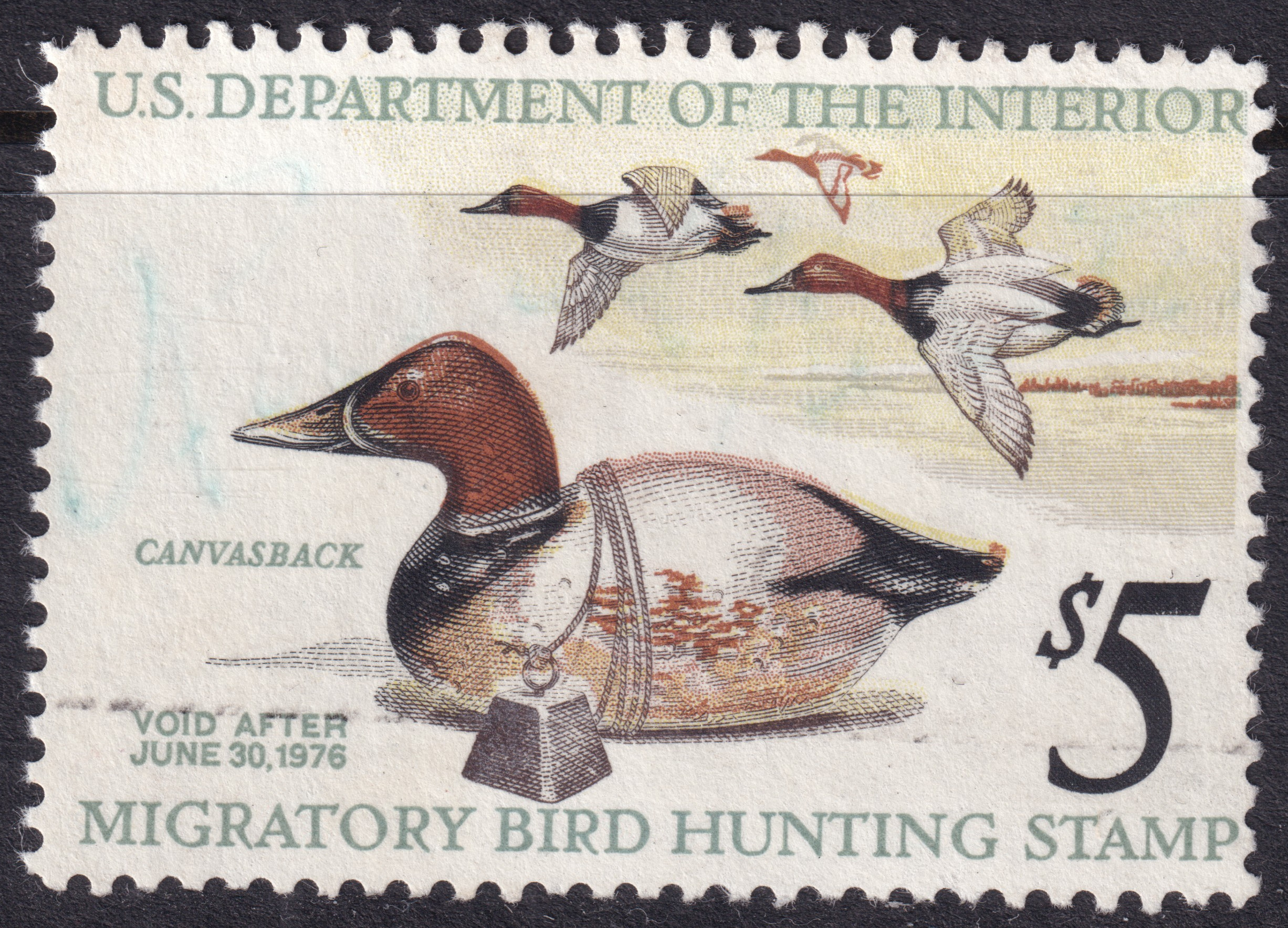 Stamp Picture