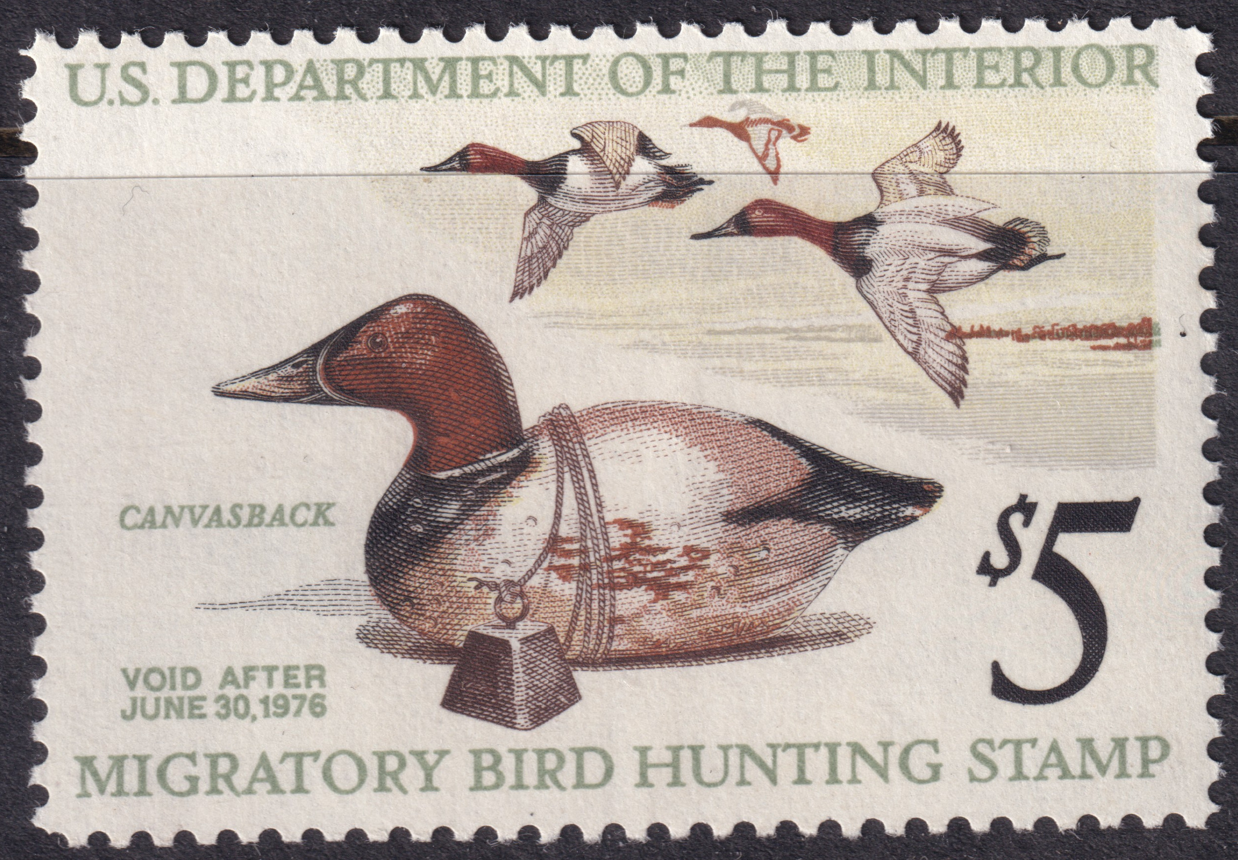 Stamp Picture