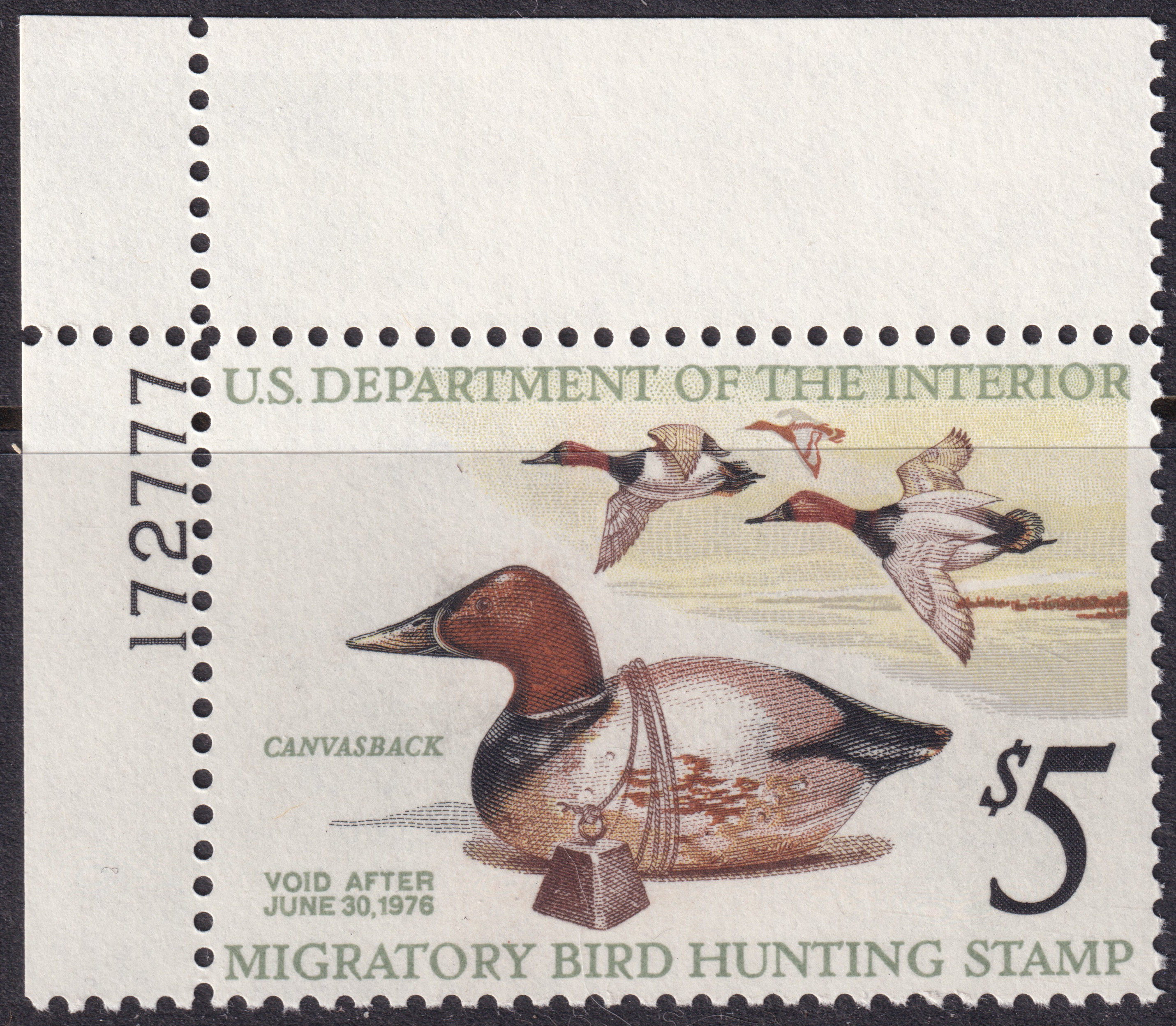 Stamp Picture