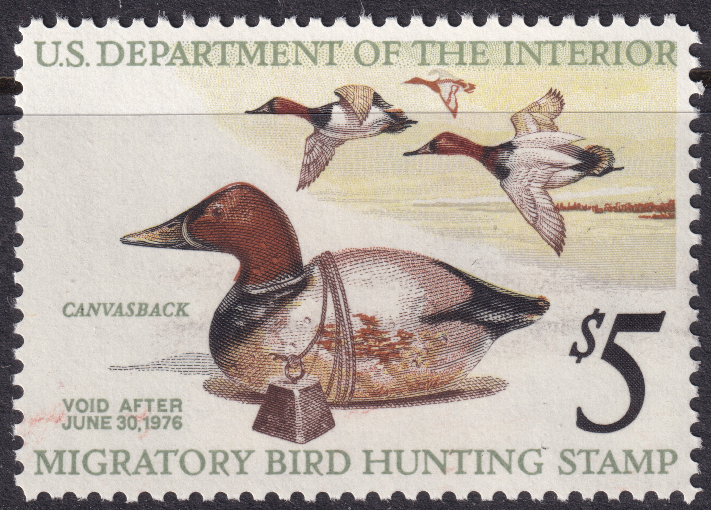 Stamp Picture