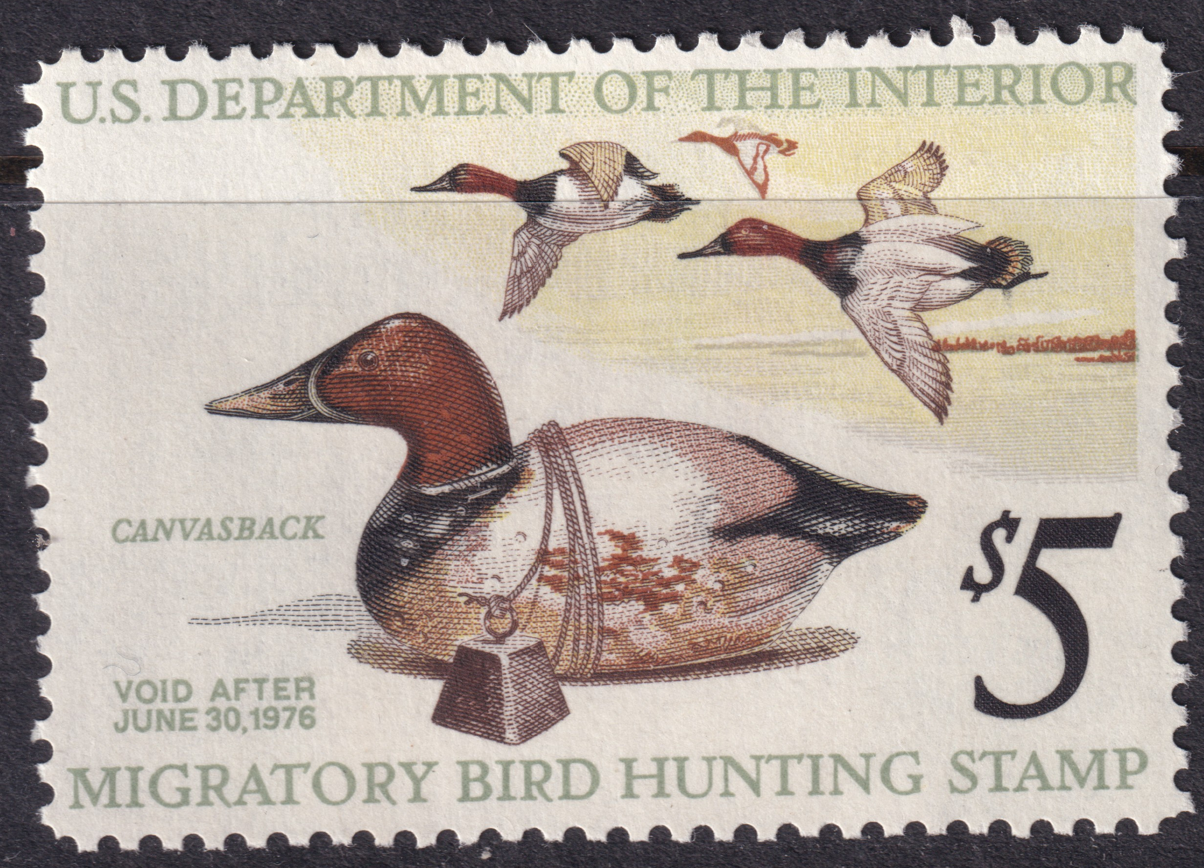 Stamp Picture