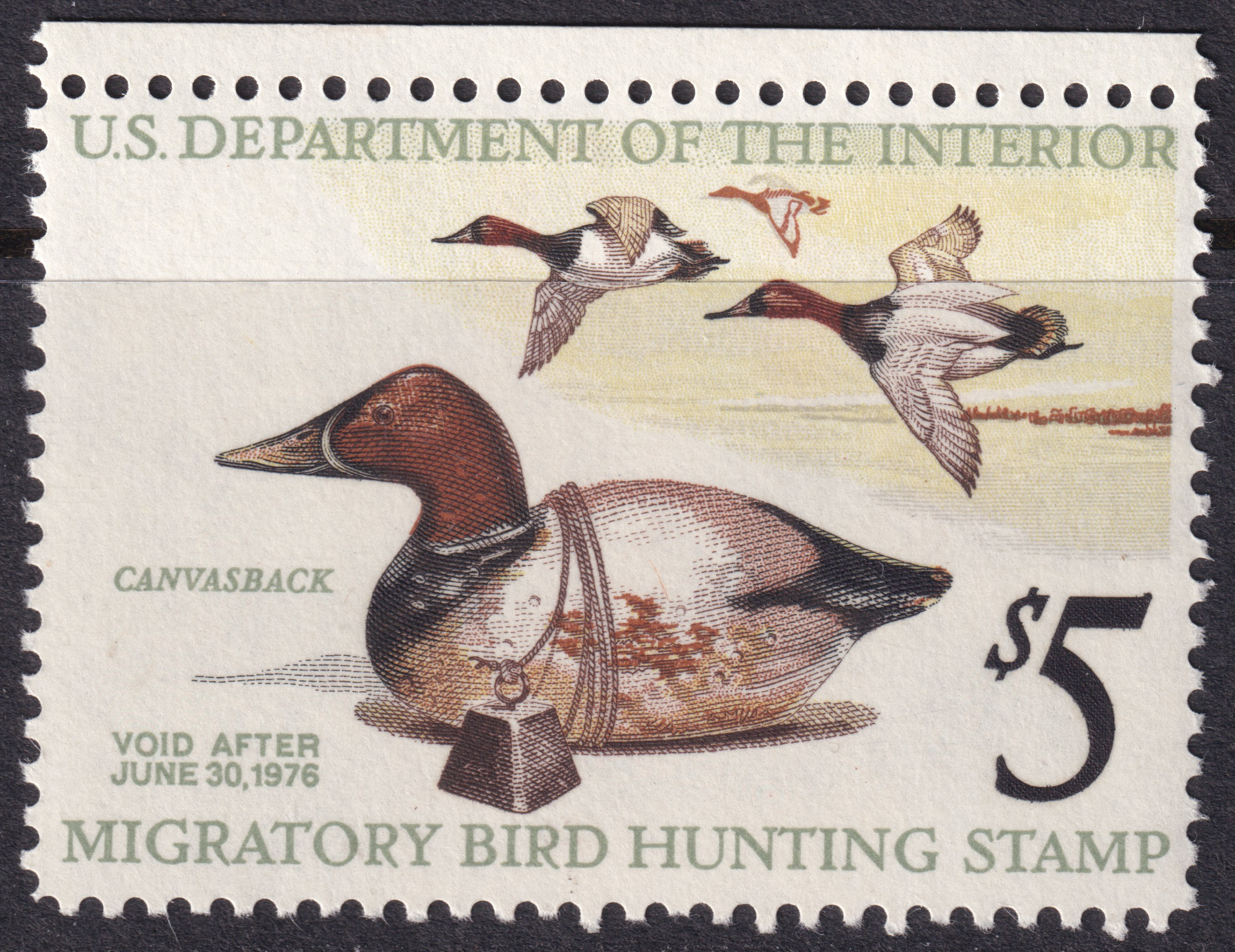Stamp Picture
