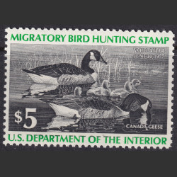 Picture of Lot #55347