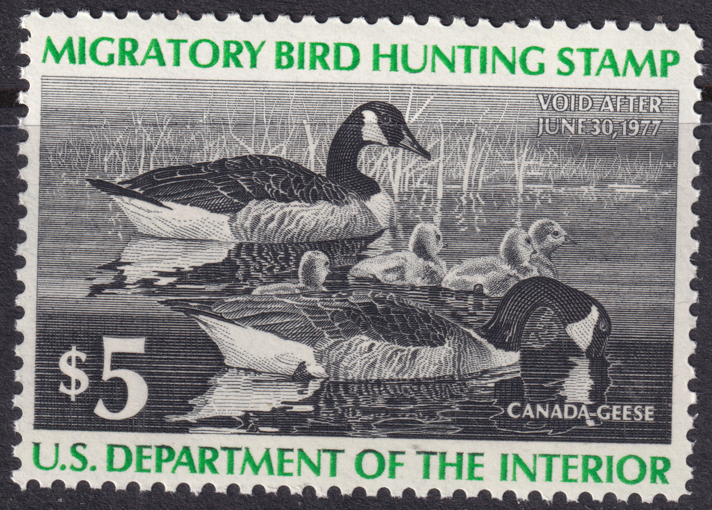 Stamp Picture
