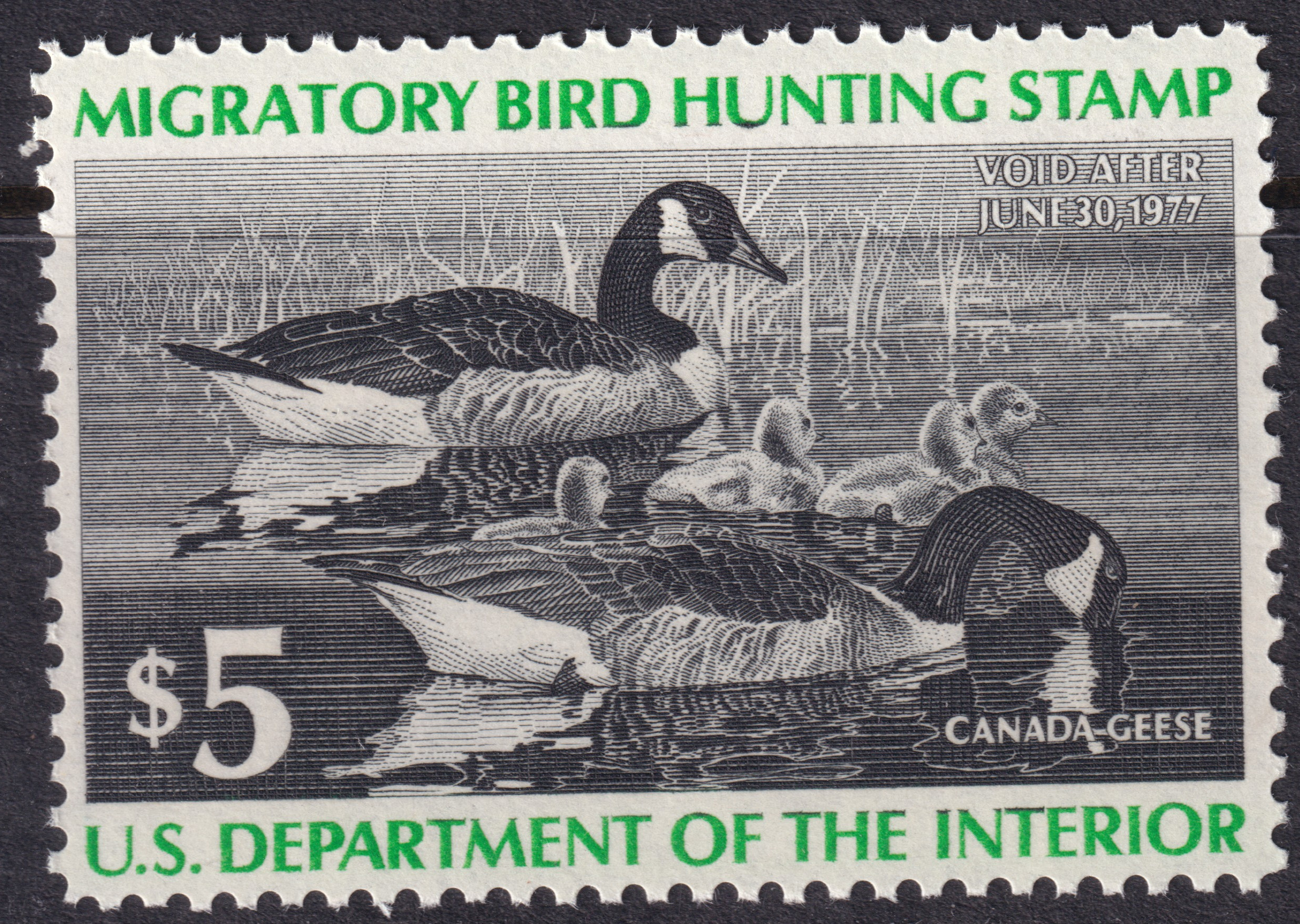 Stamp Picture