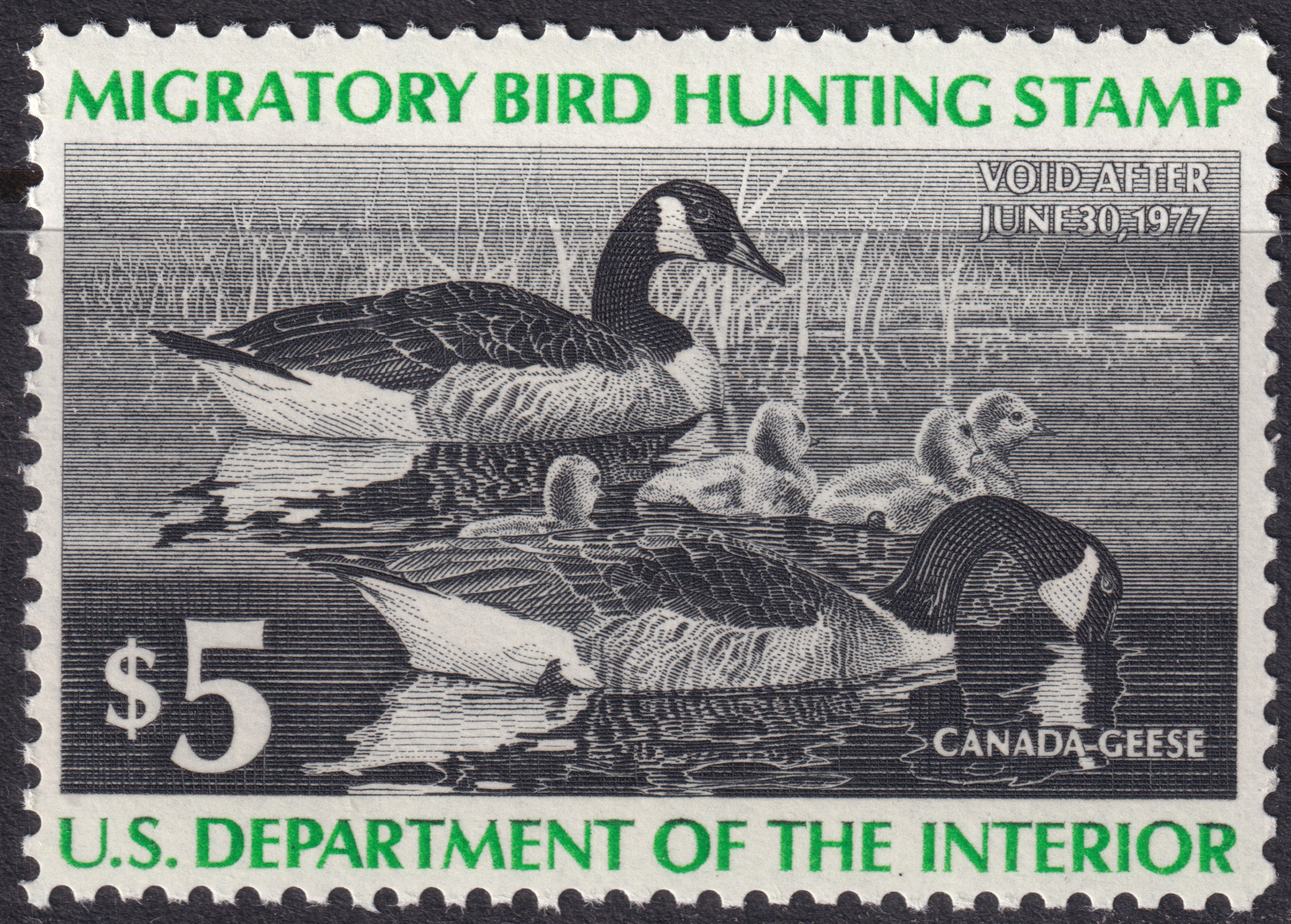 Stamp Picture