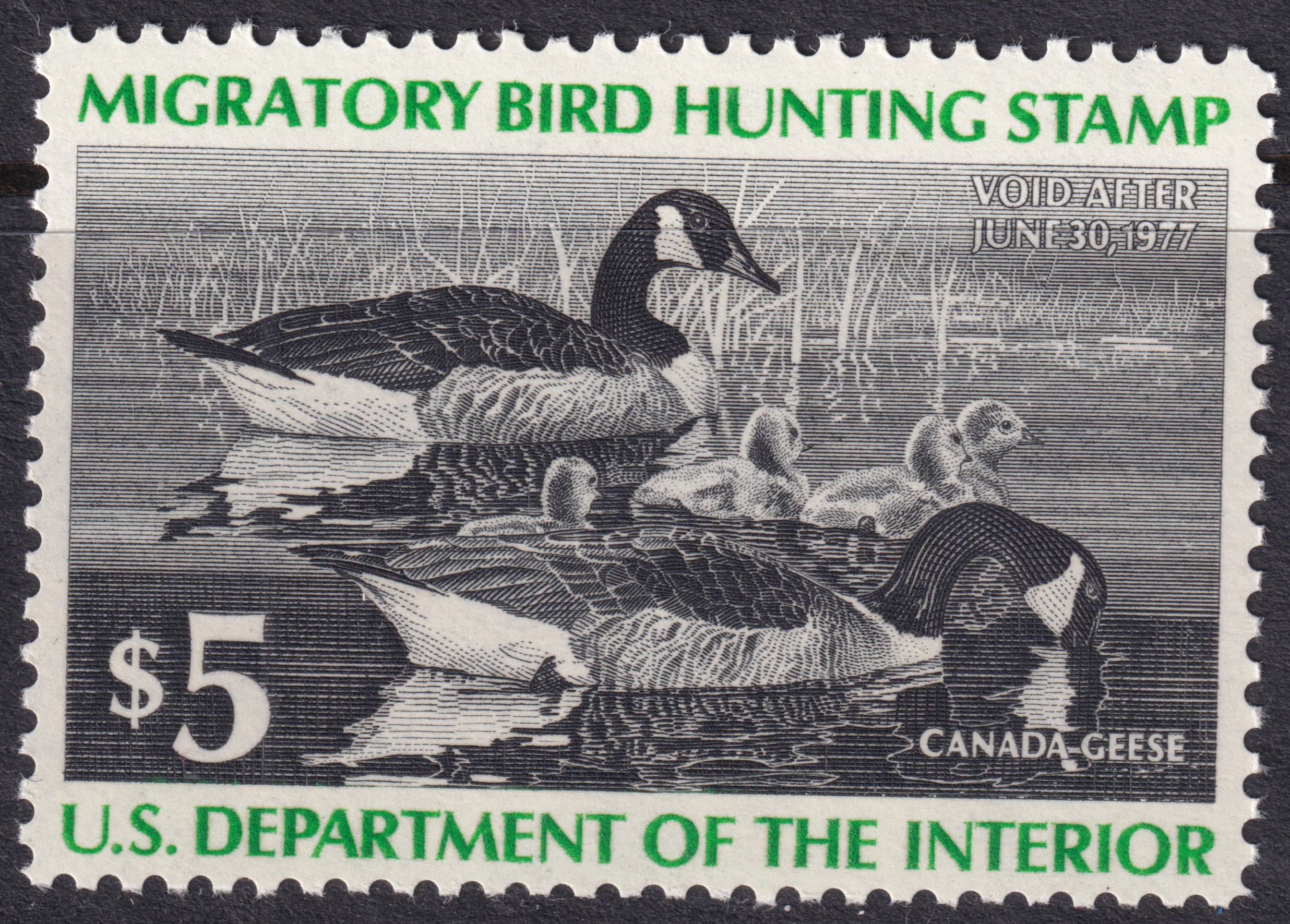 Stamp Picture