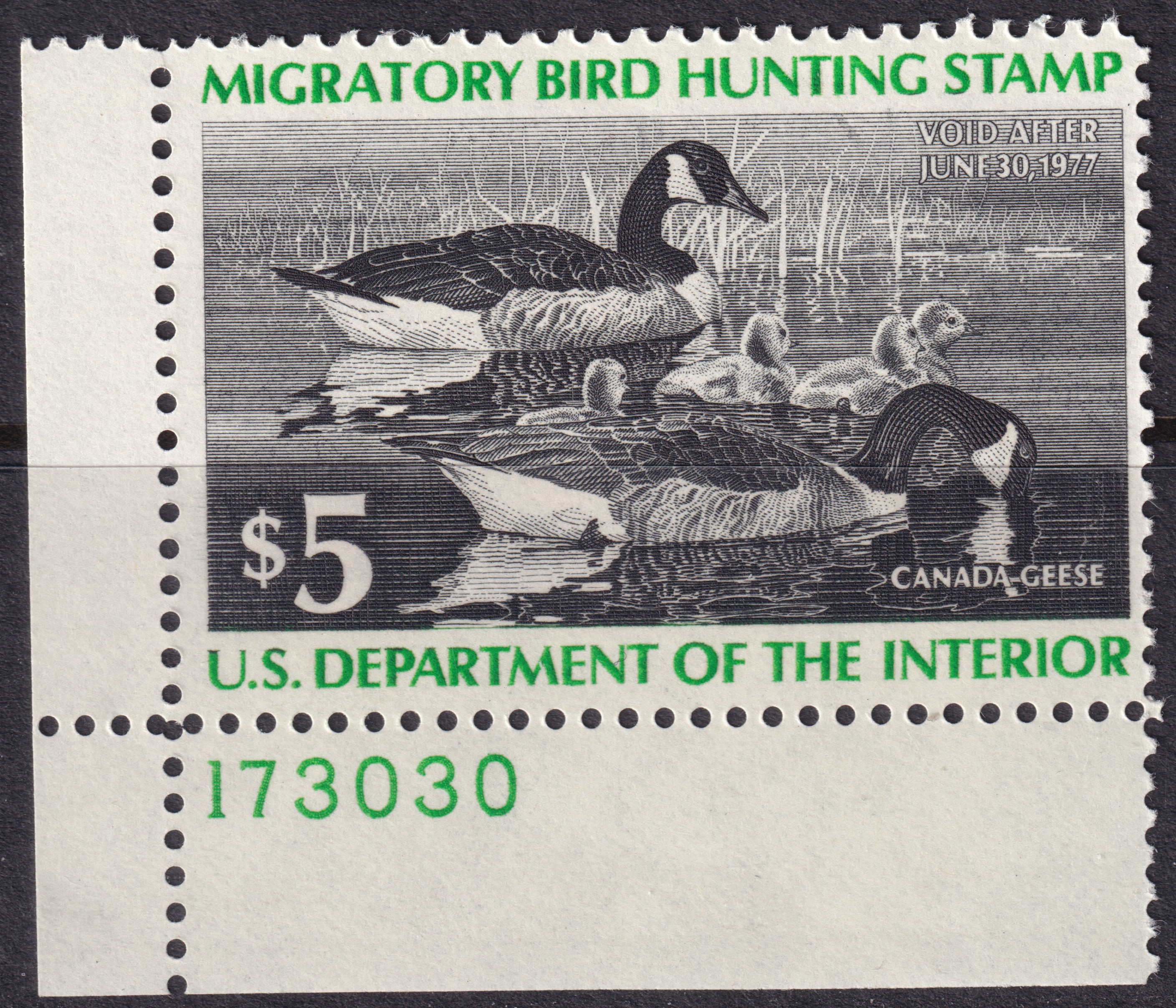Stamp Picture