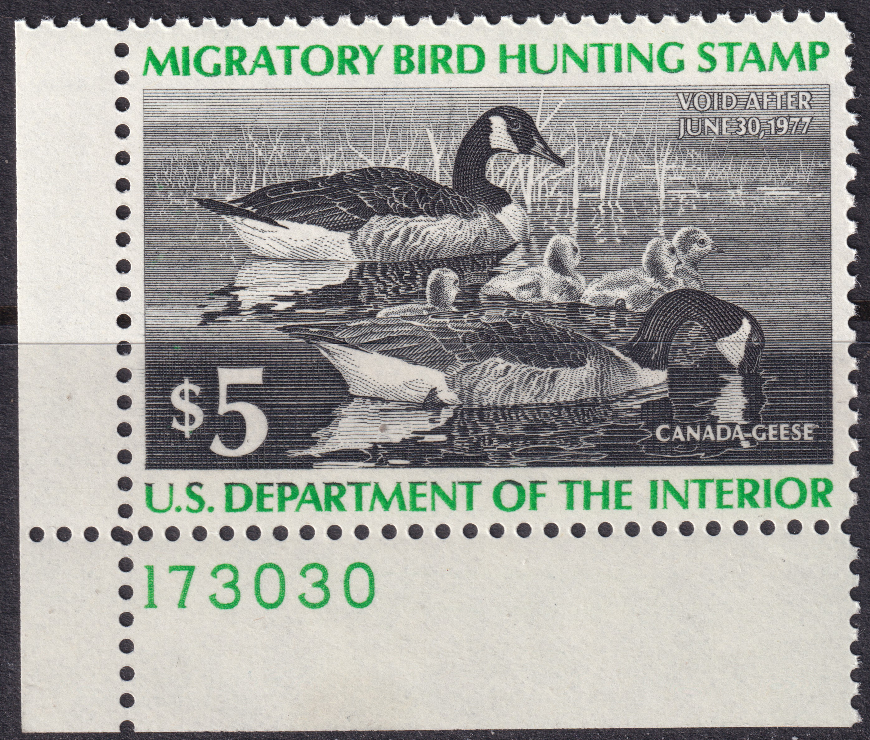 Stamp Picture