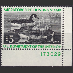 Picture of Lot #55353
