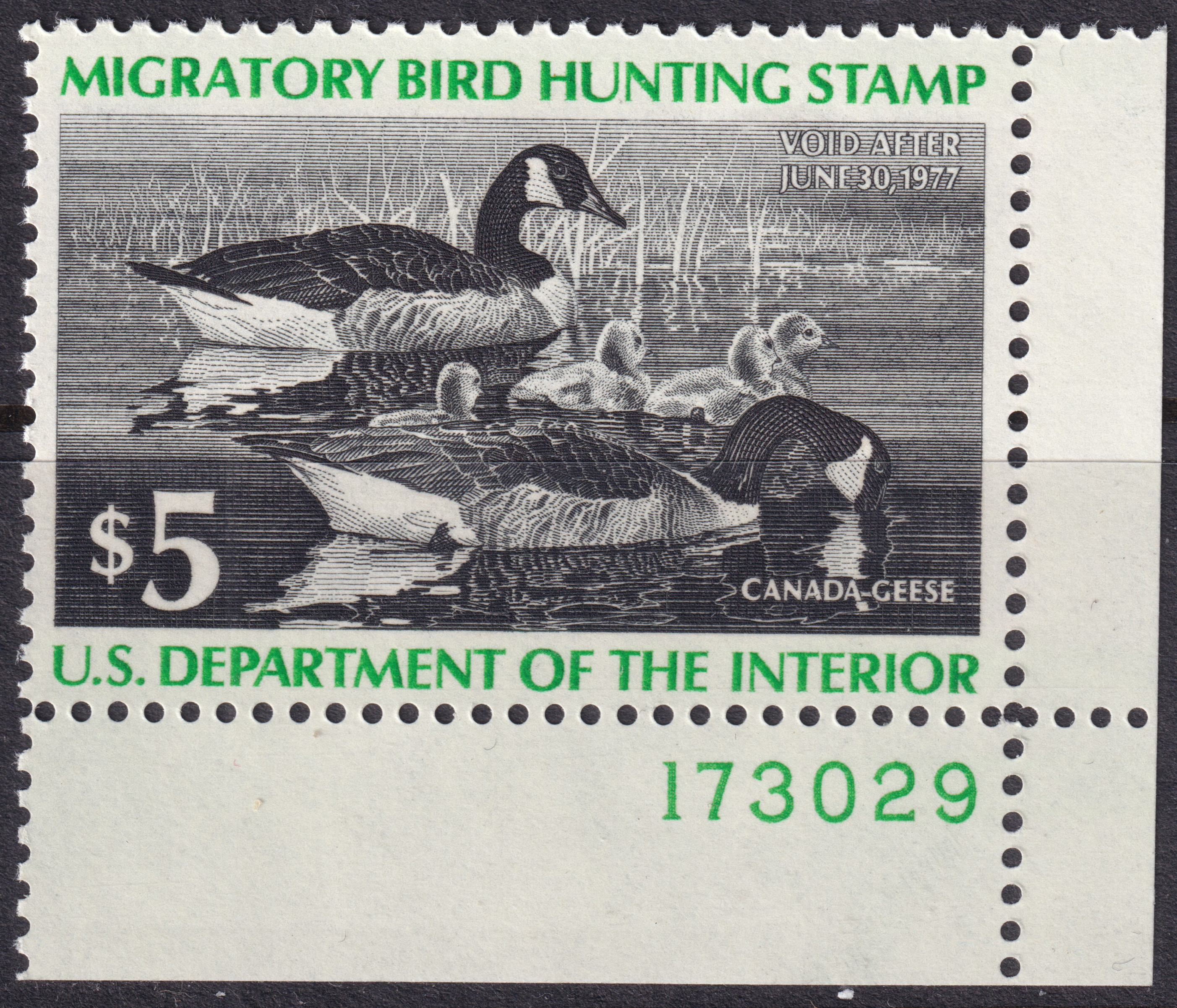 Stamp Picture