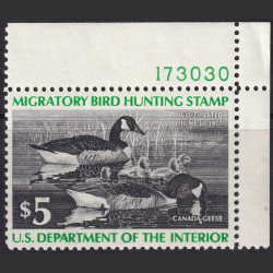 Picture of Lot #55354