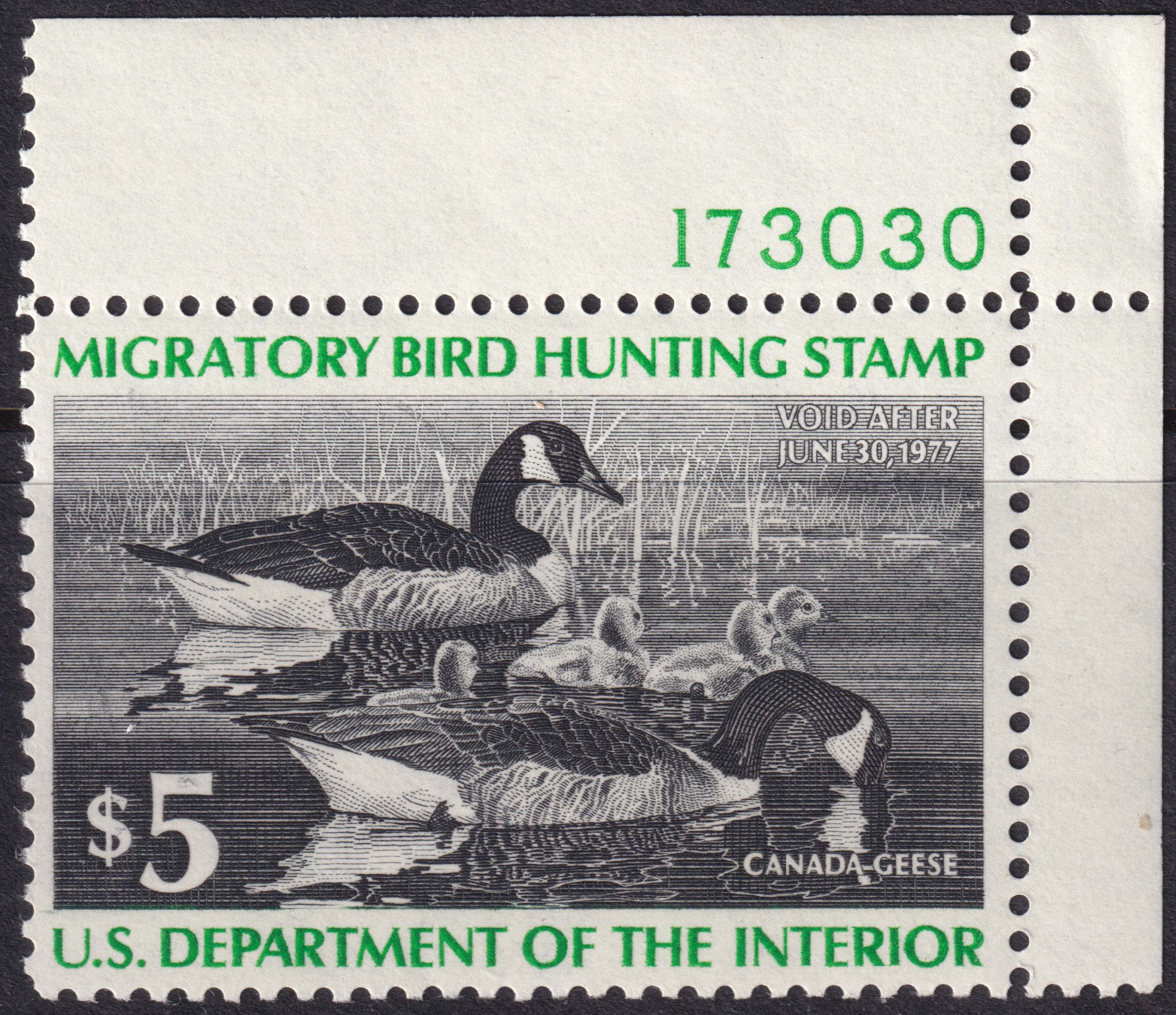 Stamp Picture