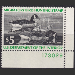 Picture of Lot #55355