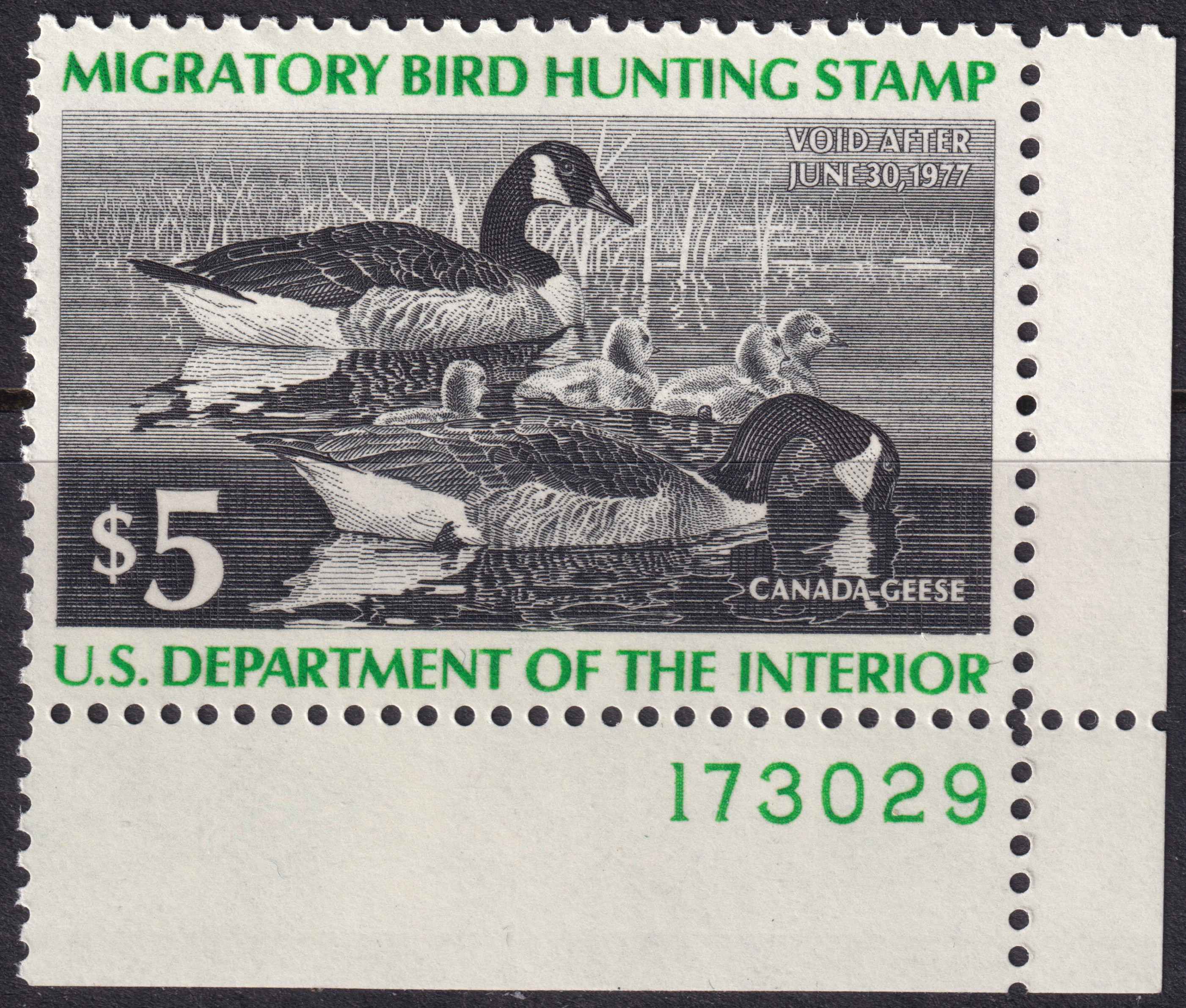 Stamp Picture