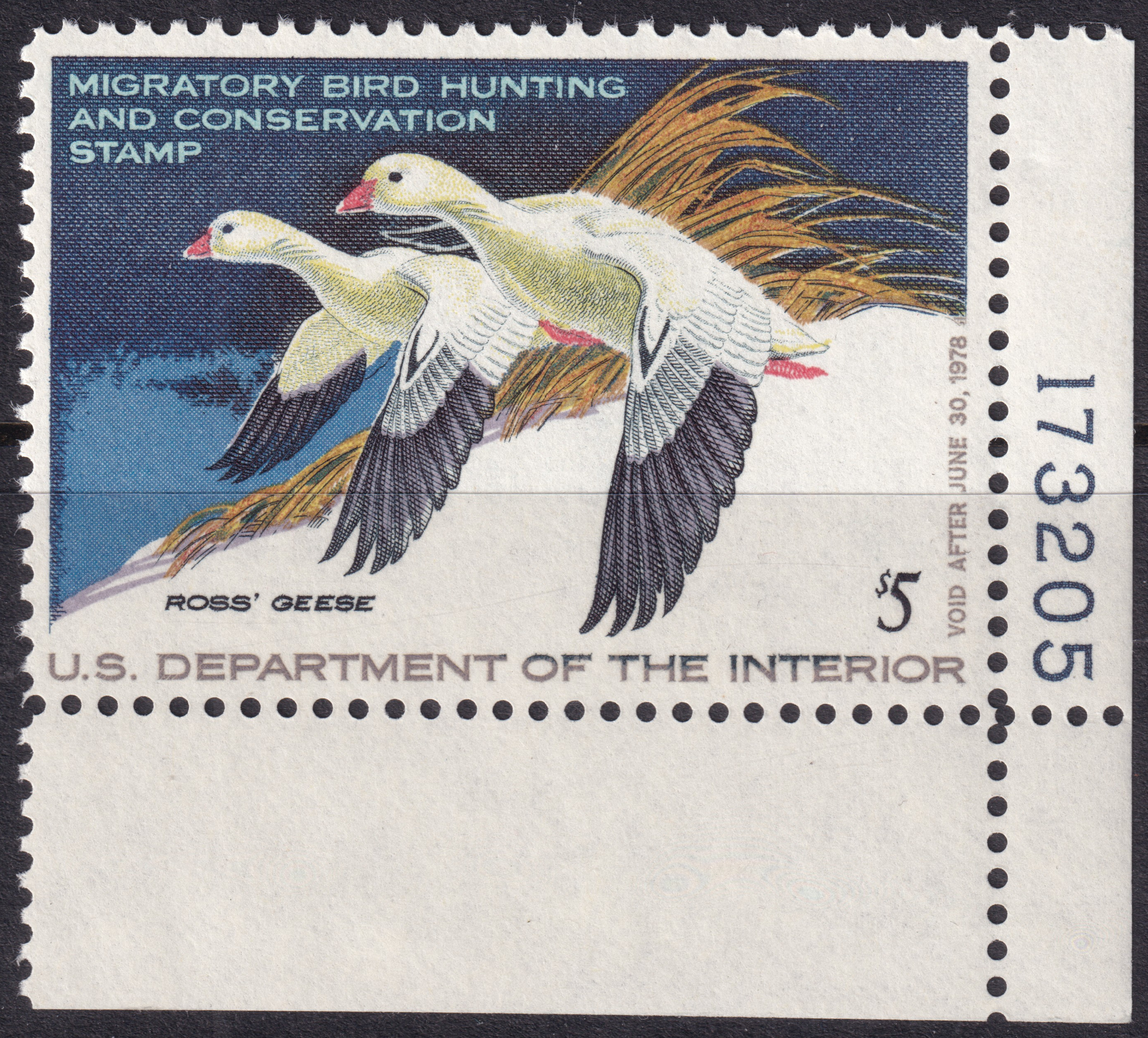 Stamp Picture