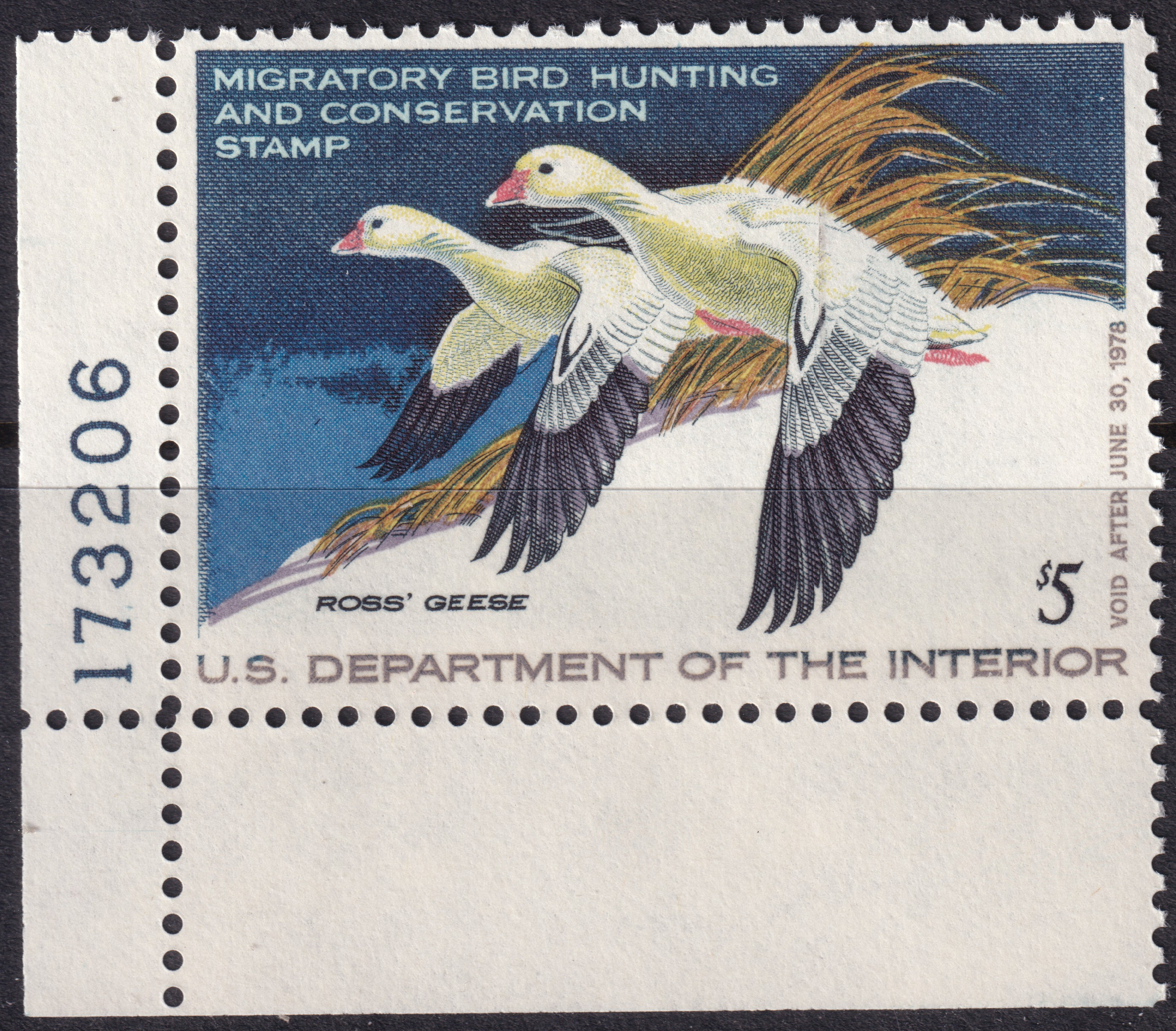 Stamp Picture