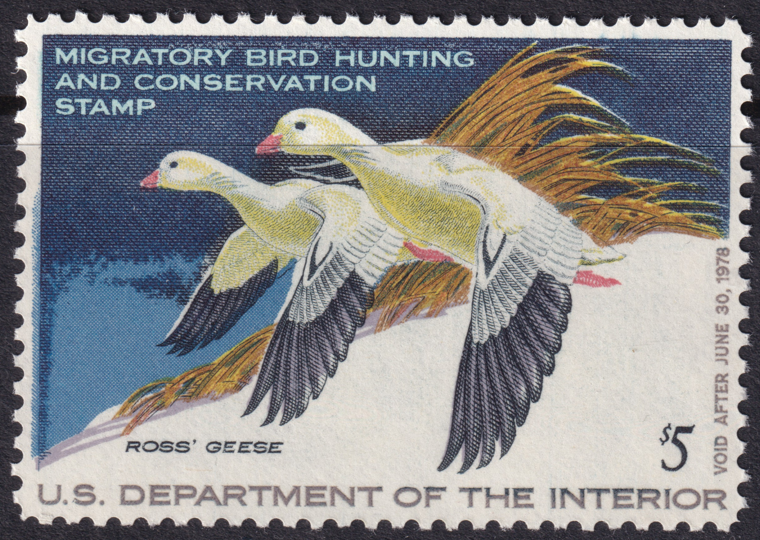 Stamp Picture