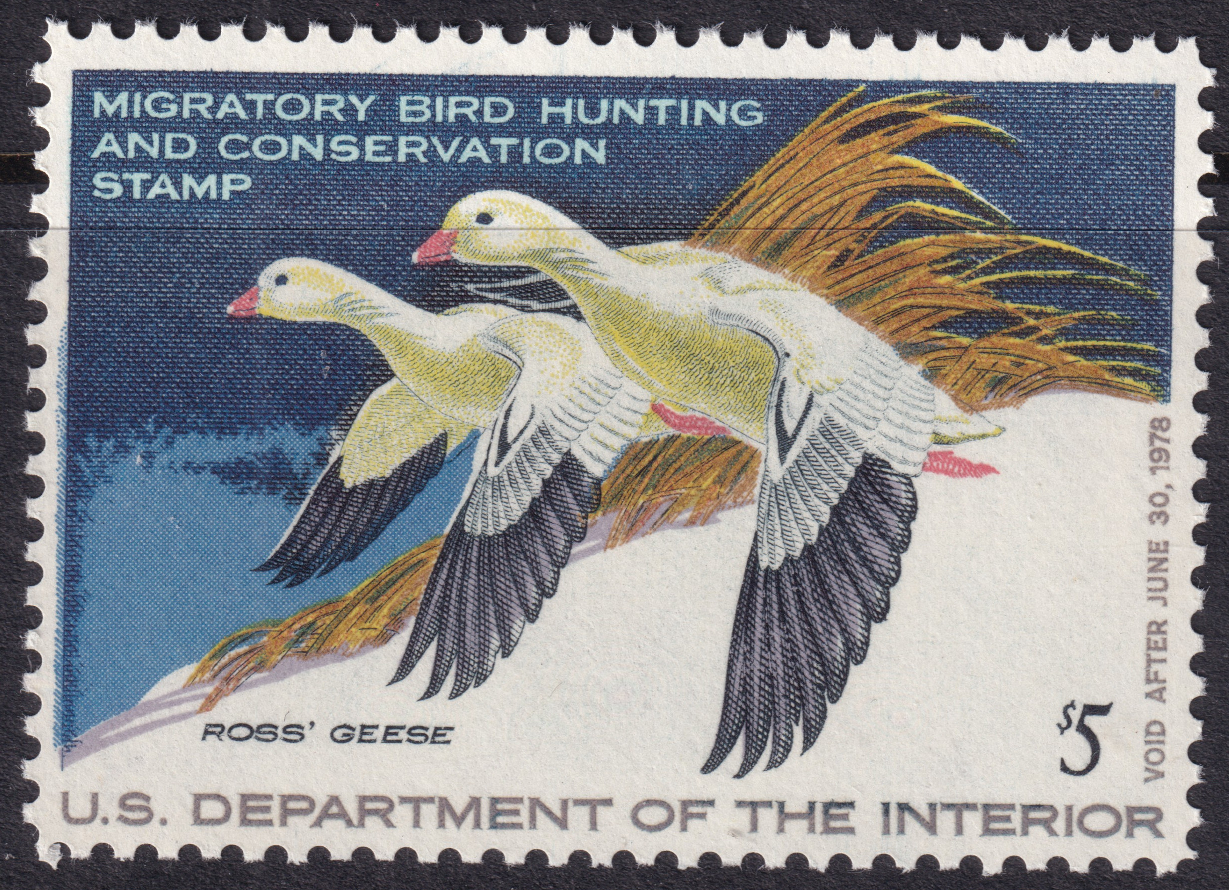 Stamp Picture