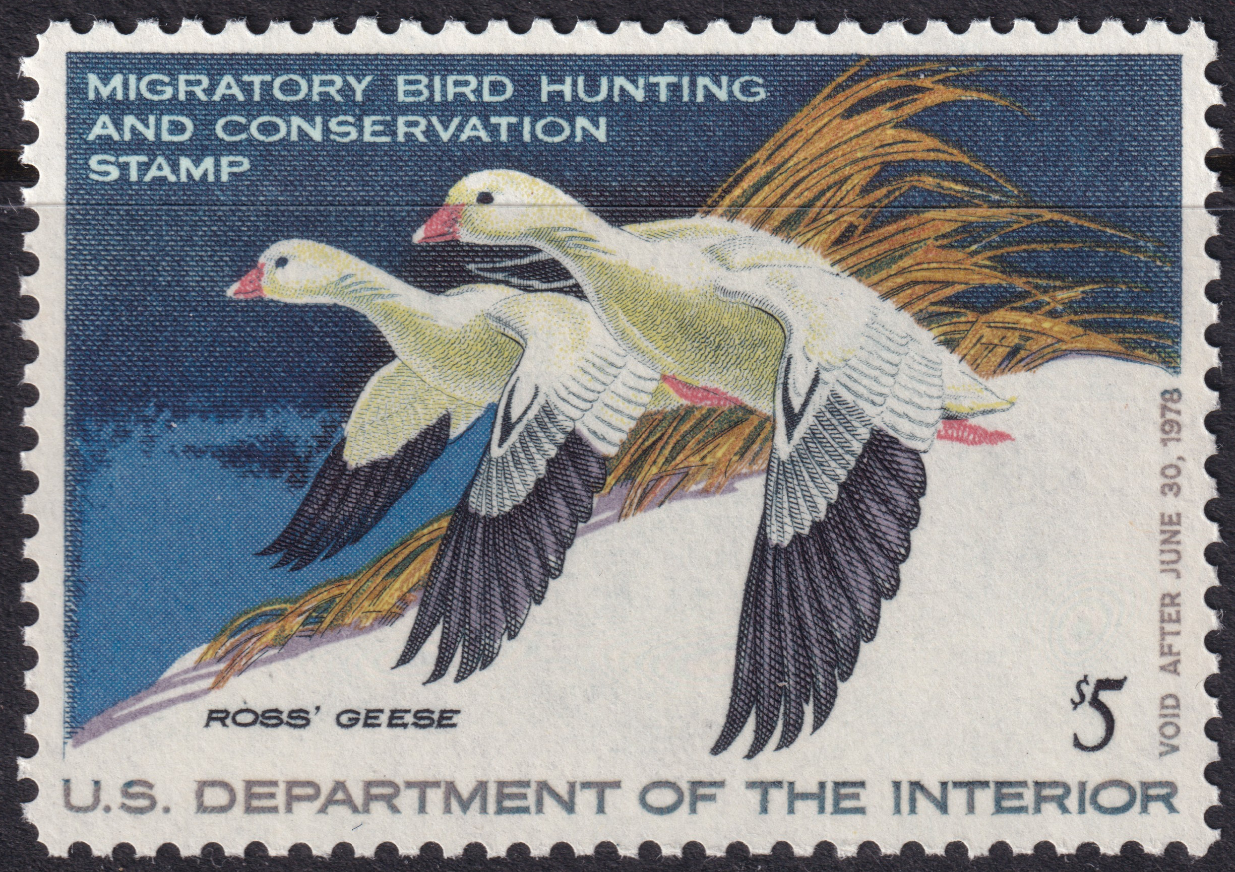 Stamp Picture
