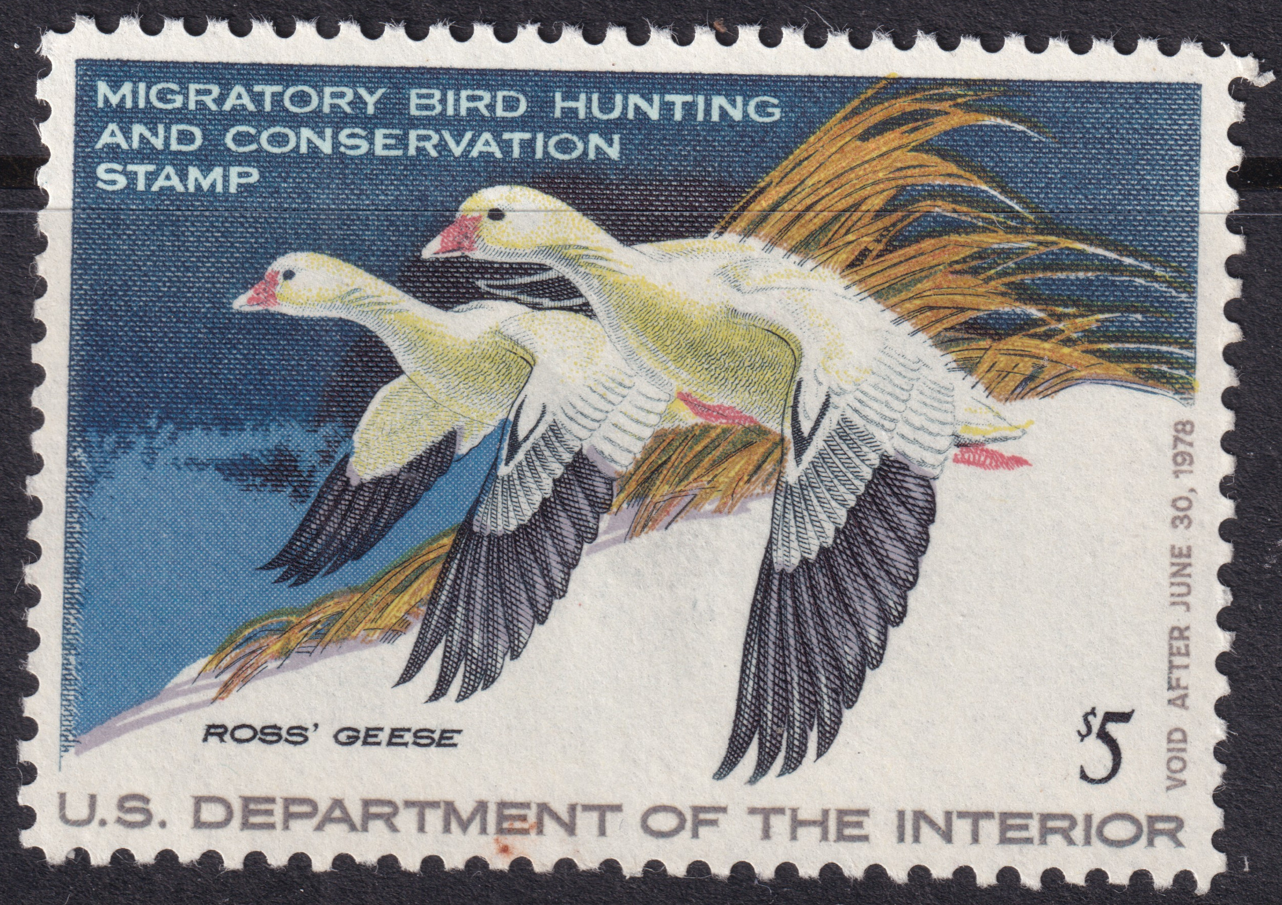 Stamp Picture