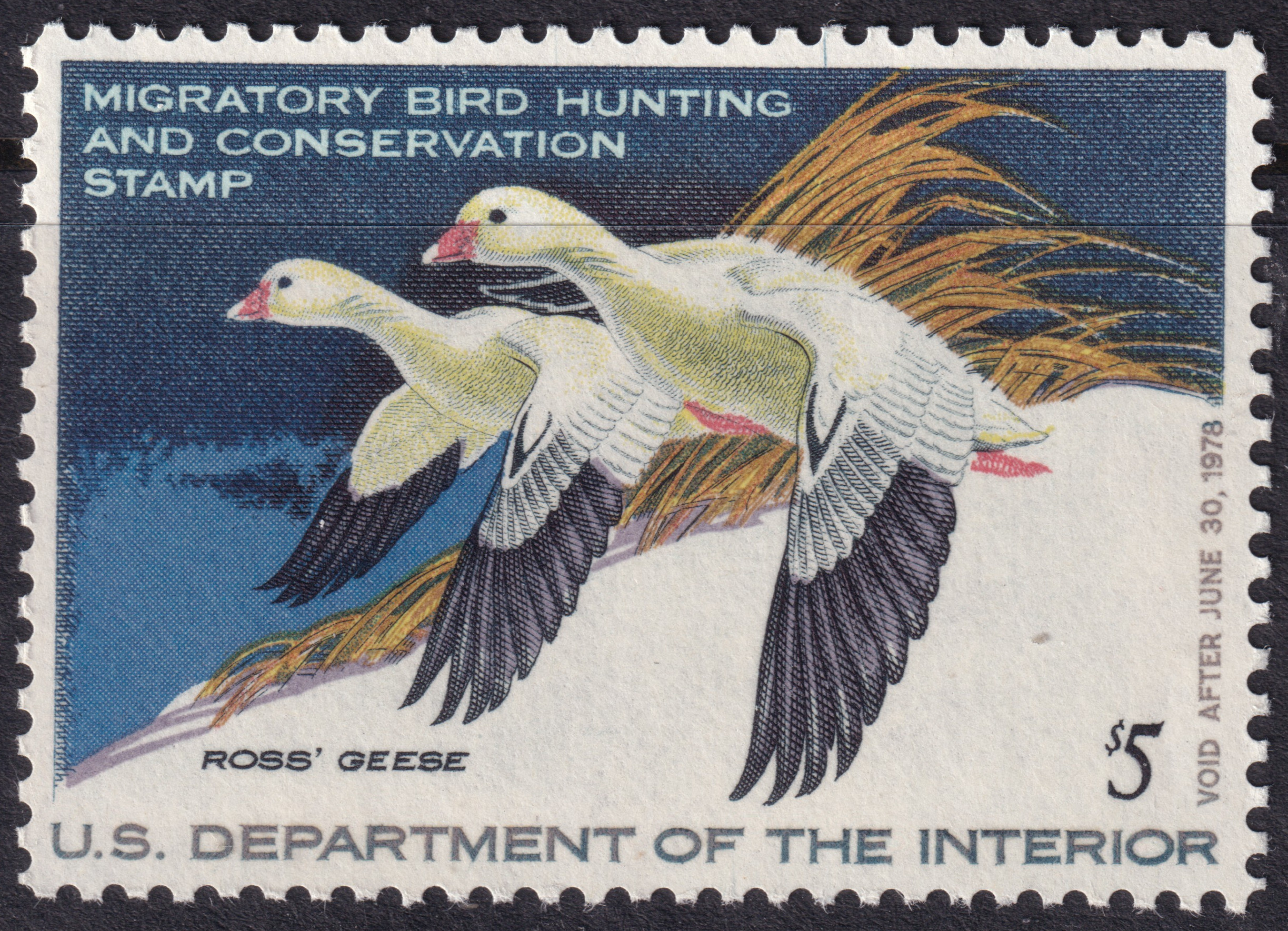Stamp Picture