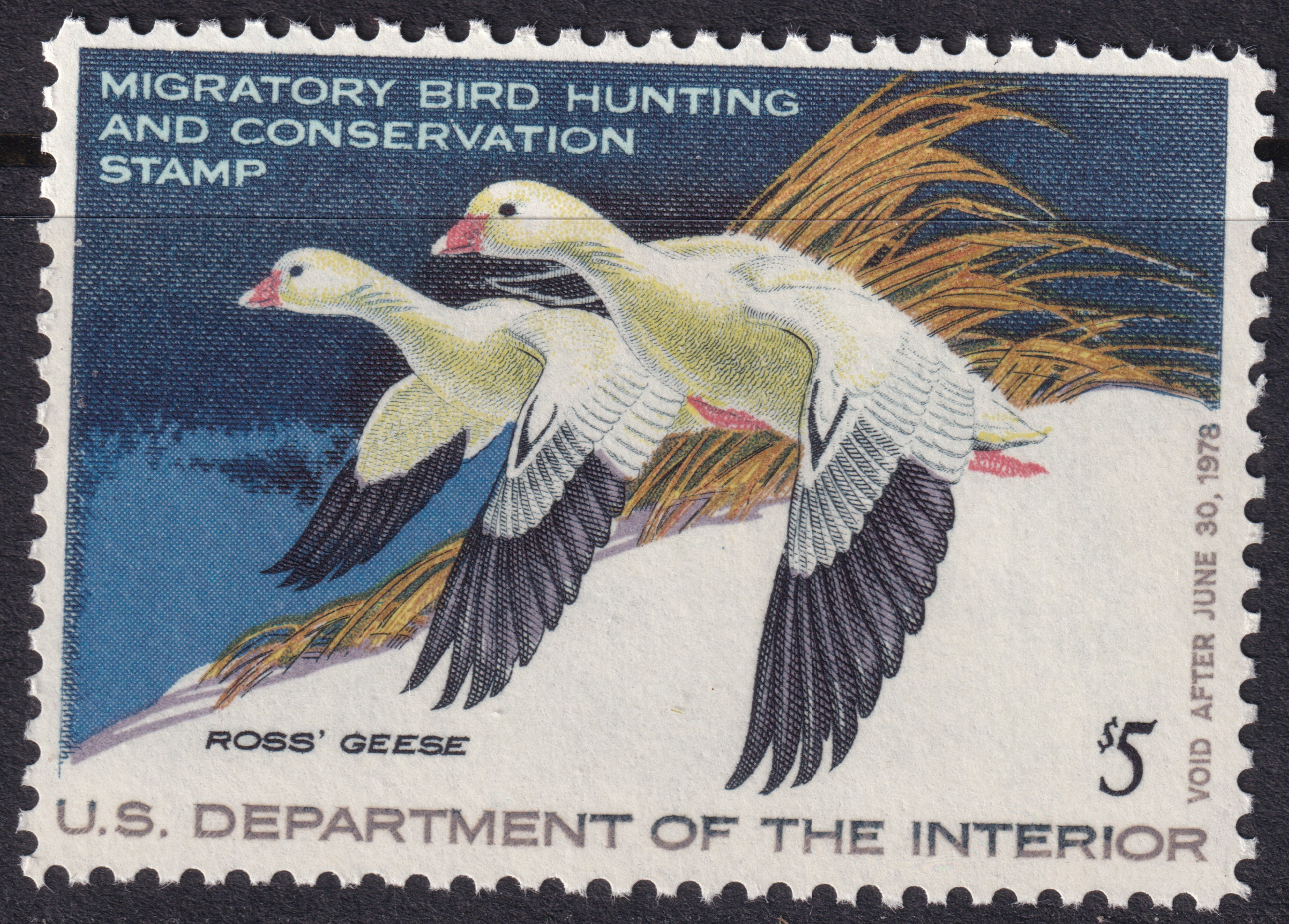 Stamp Picture