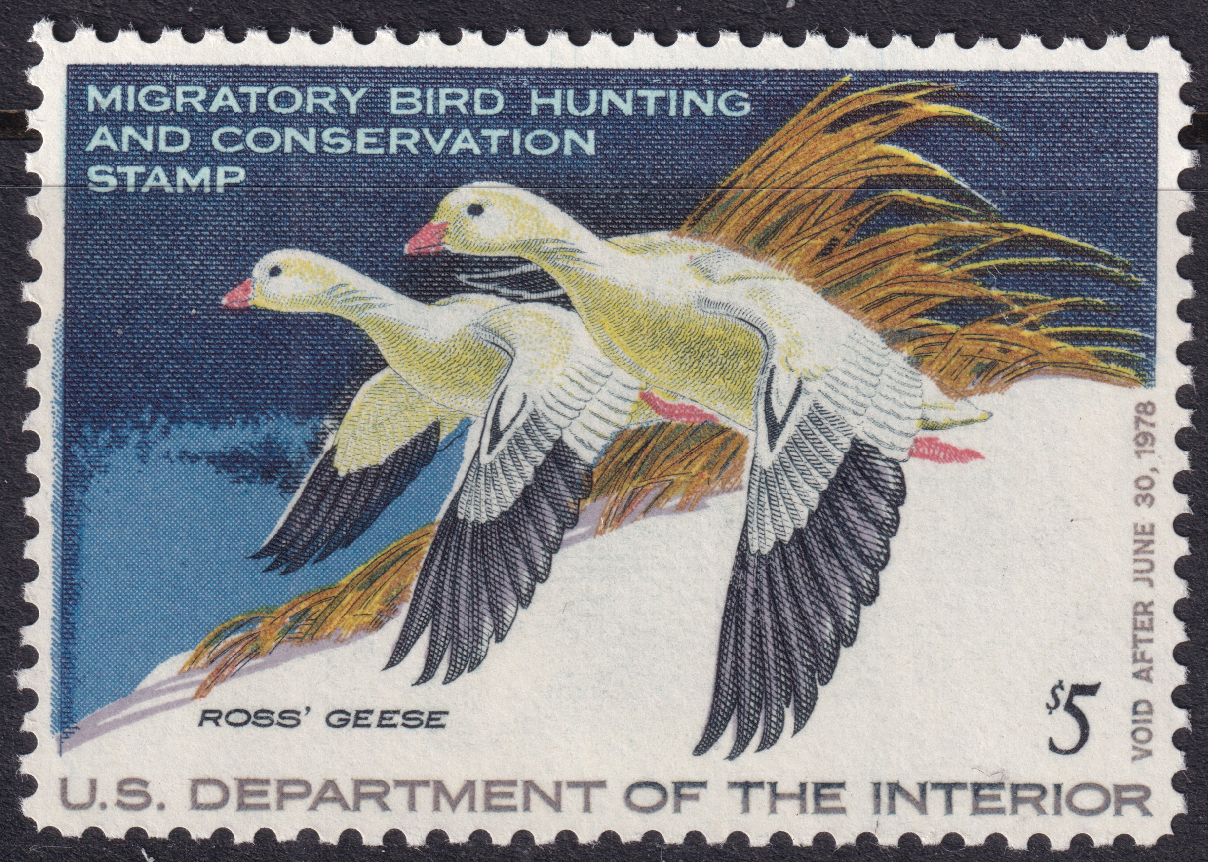 Stamp Picture
