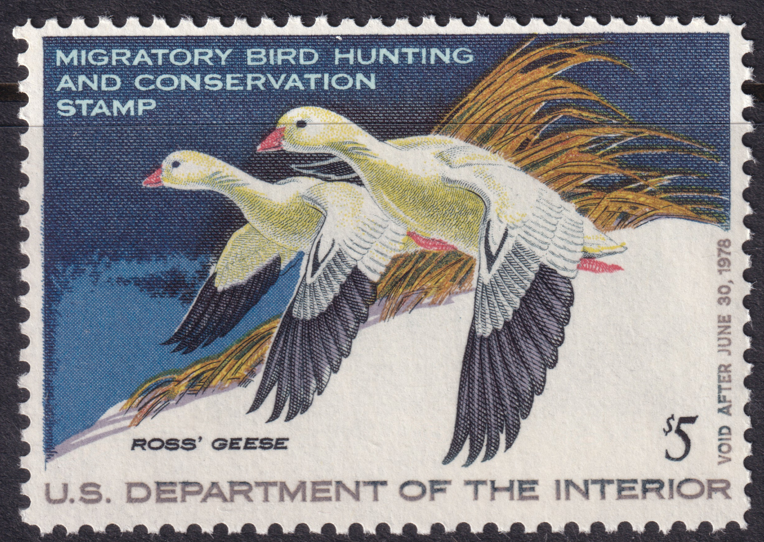 Stamp Picture