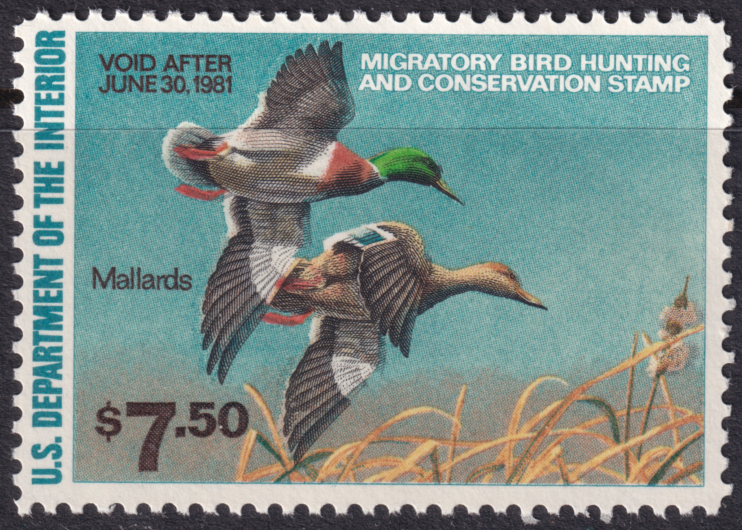 Stamp Picture