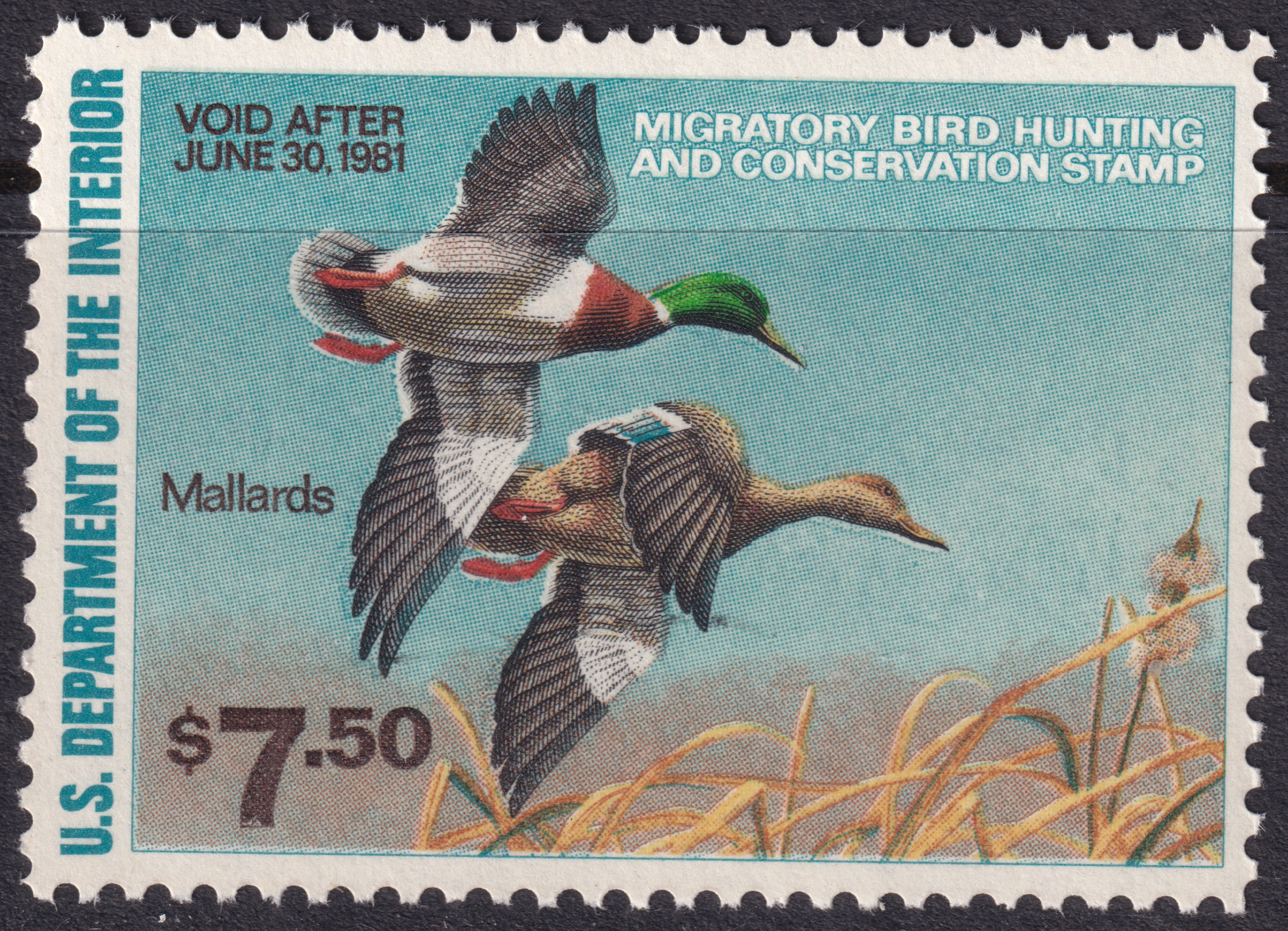 Stamp Picture