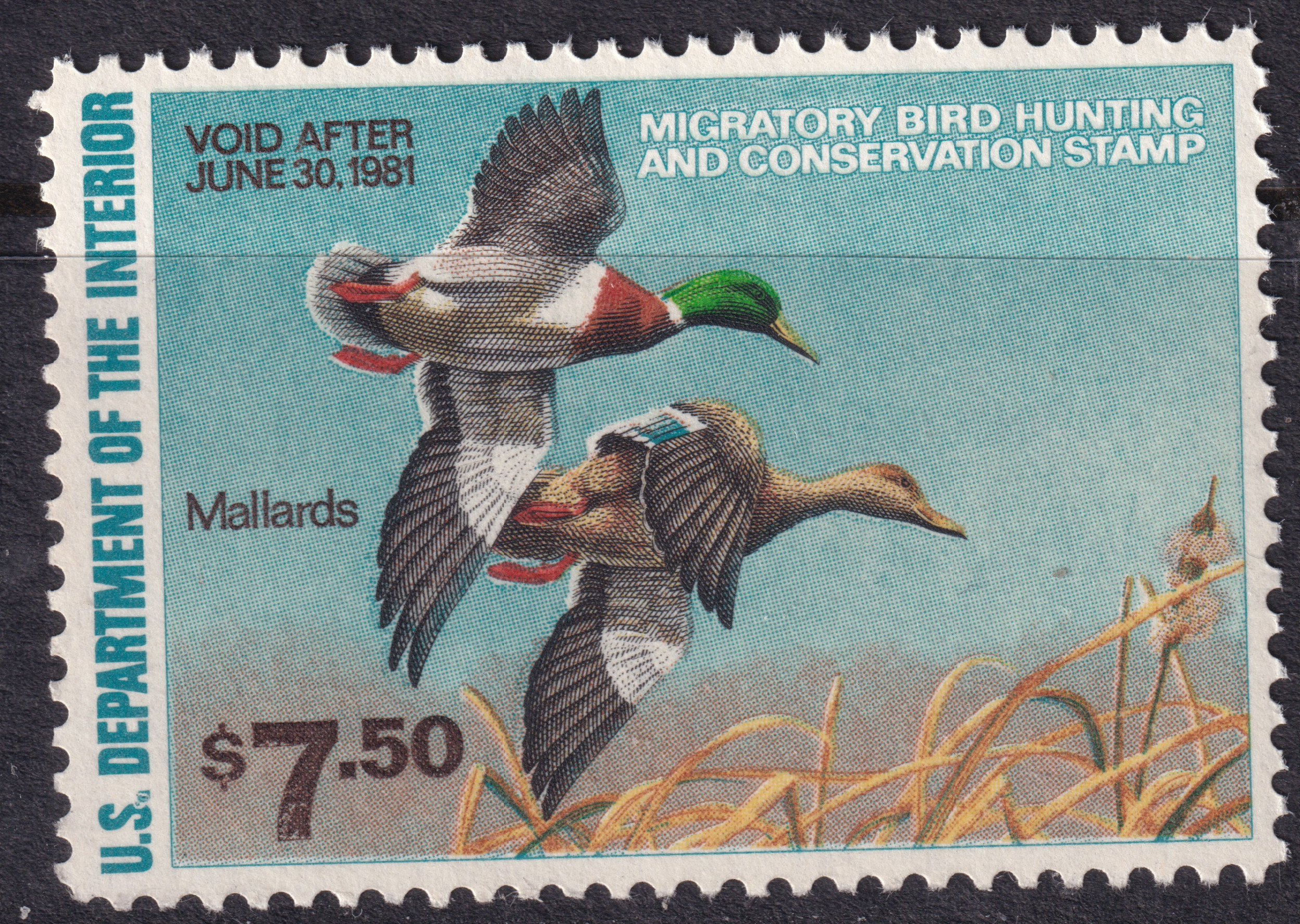 Stamp Picture