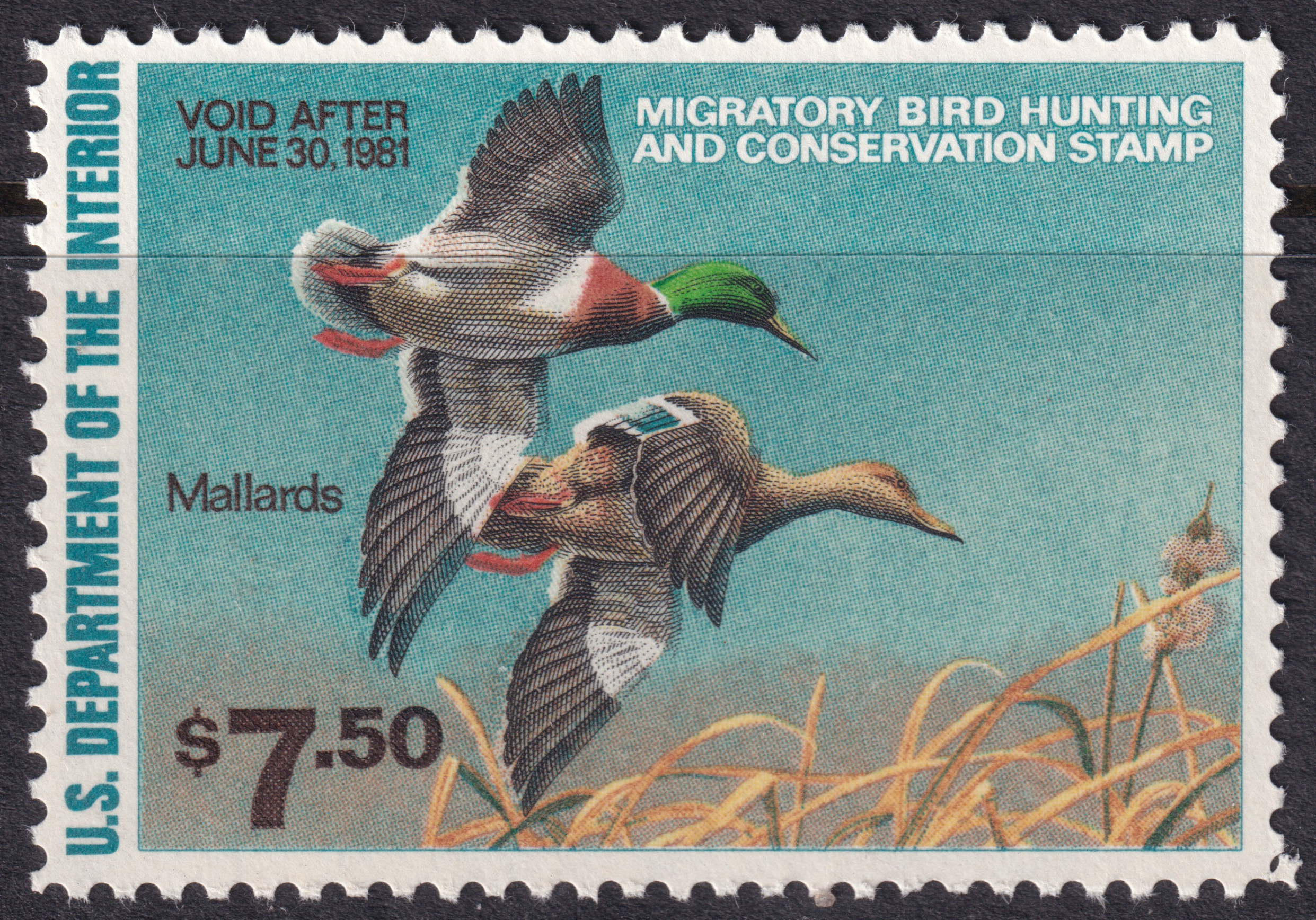 Stamp Picture