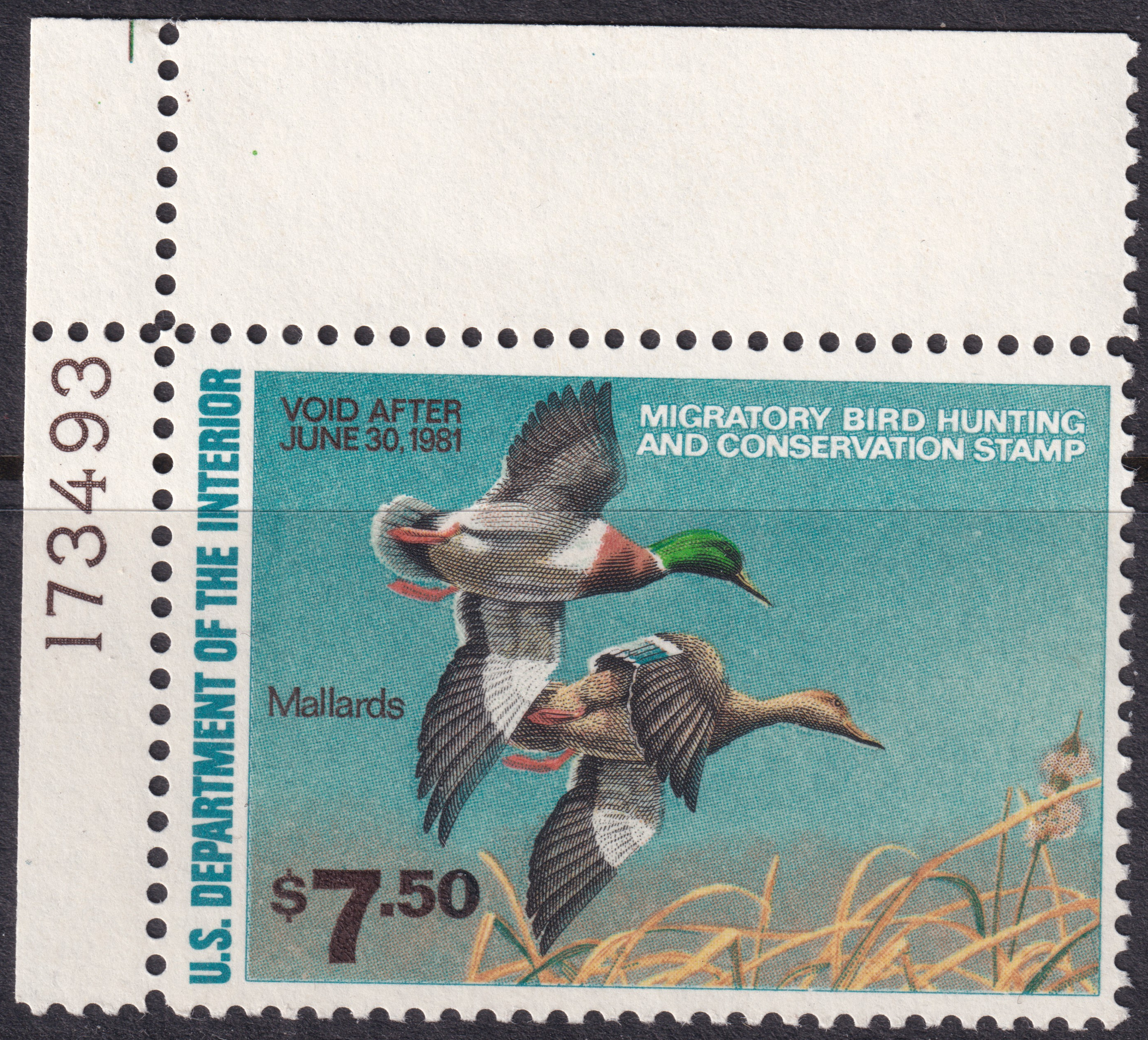 Stamp Picture