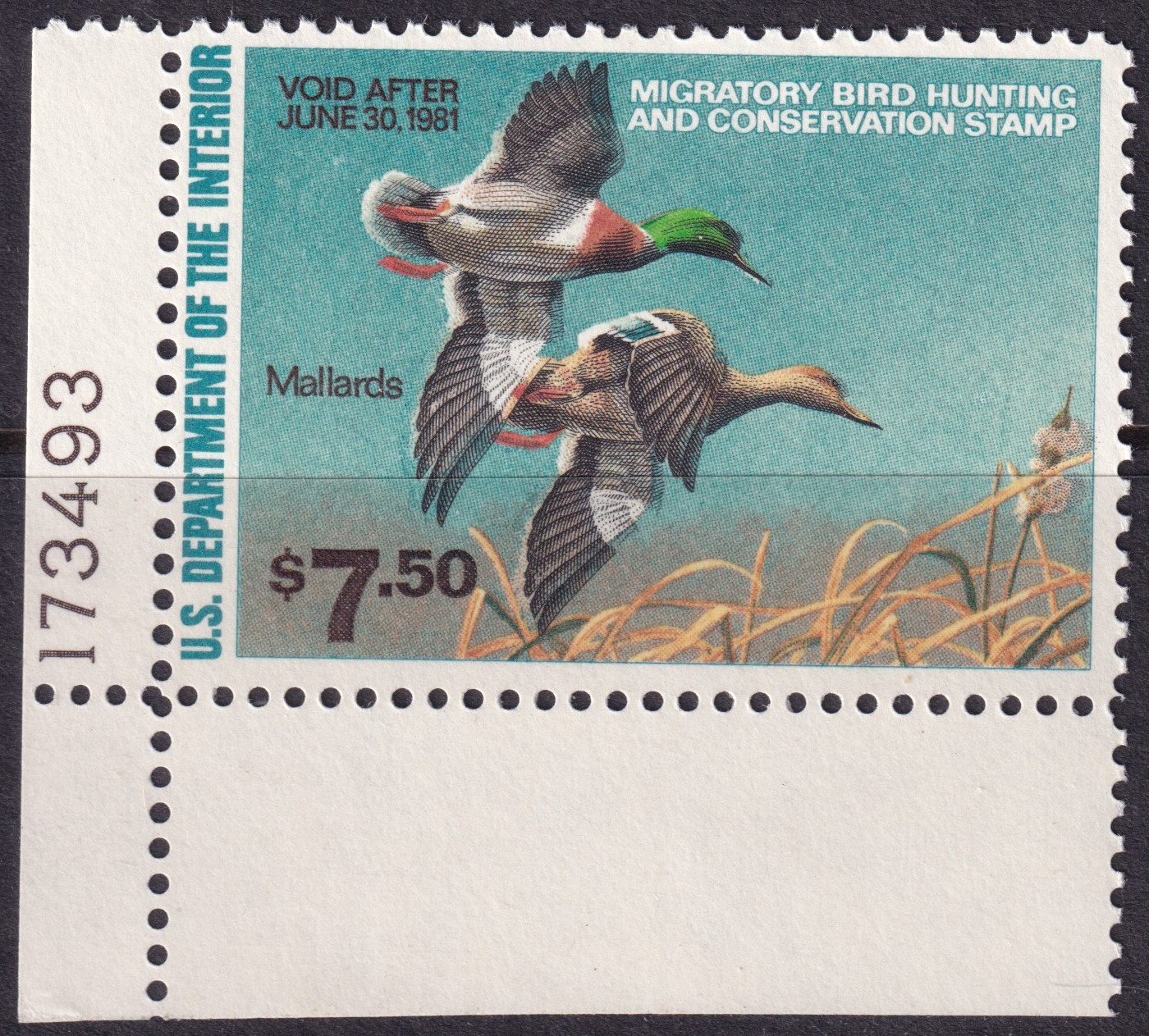 Stamp Picture