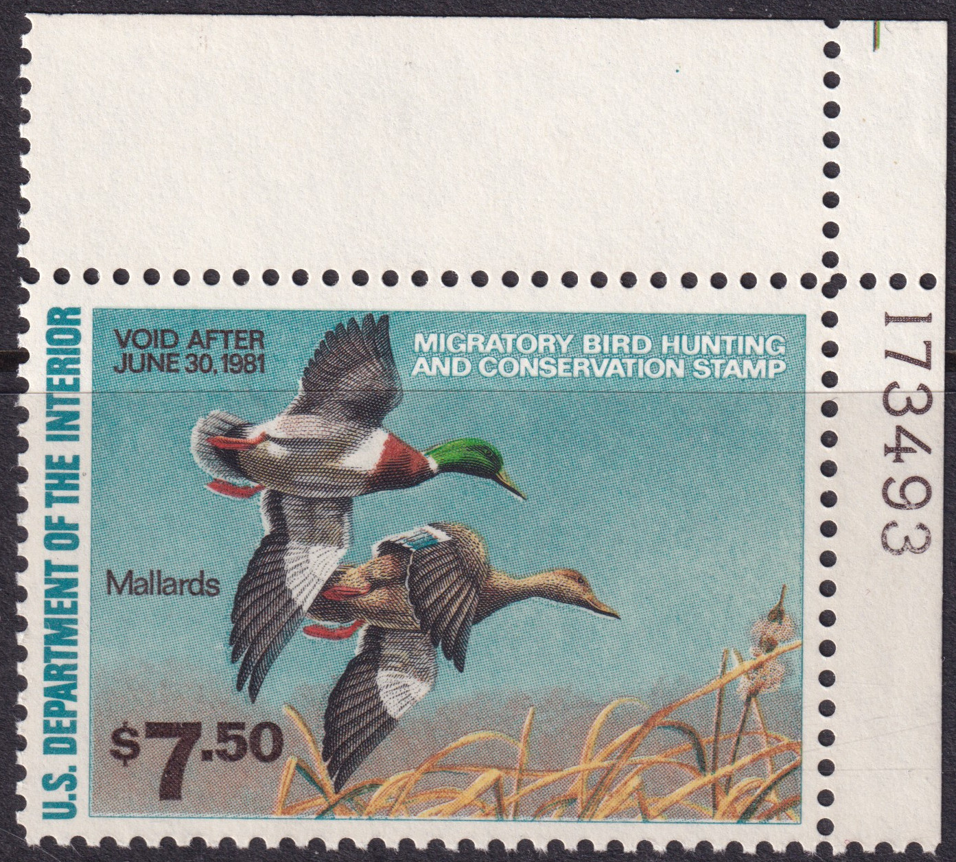 Stamp Picture