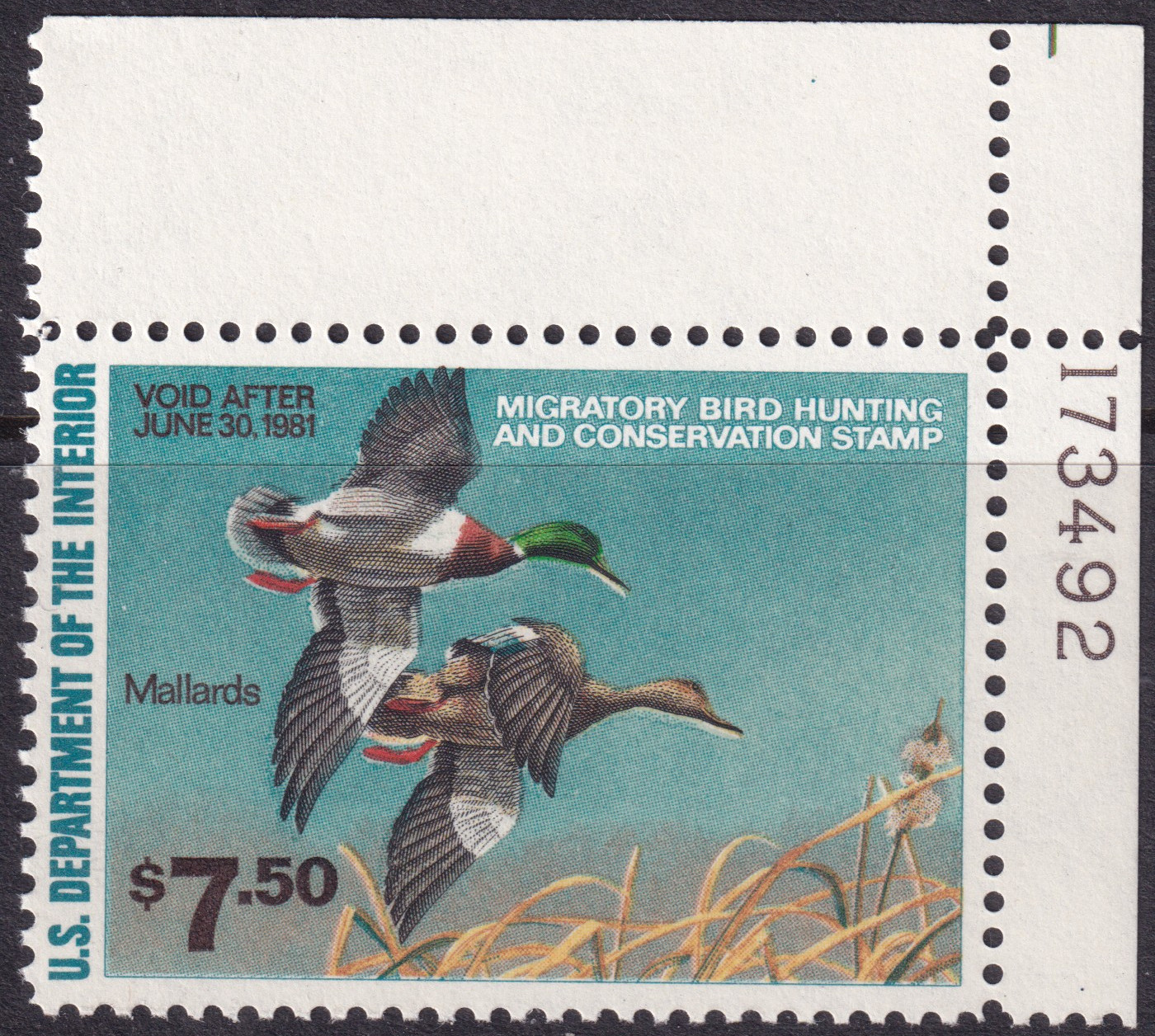 Stamp Picture