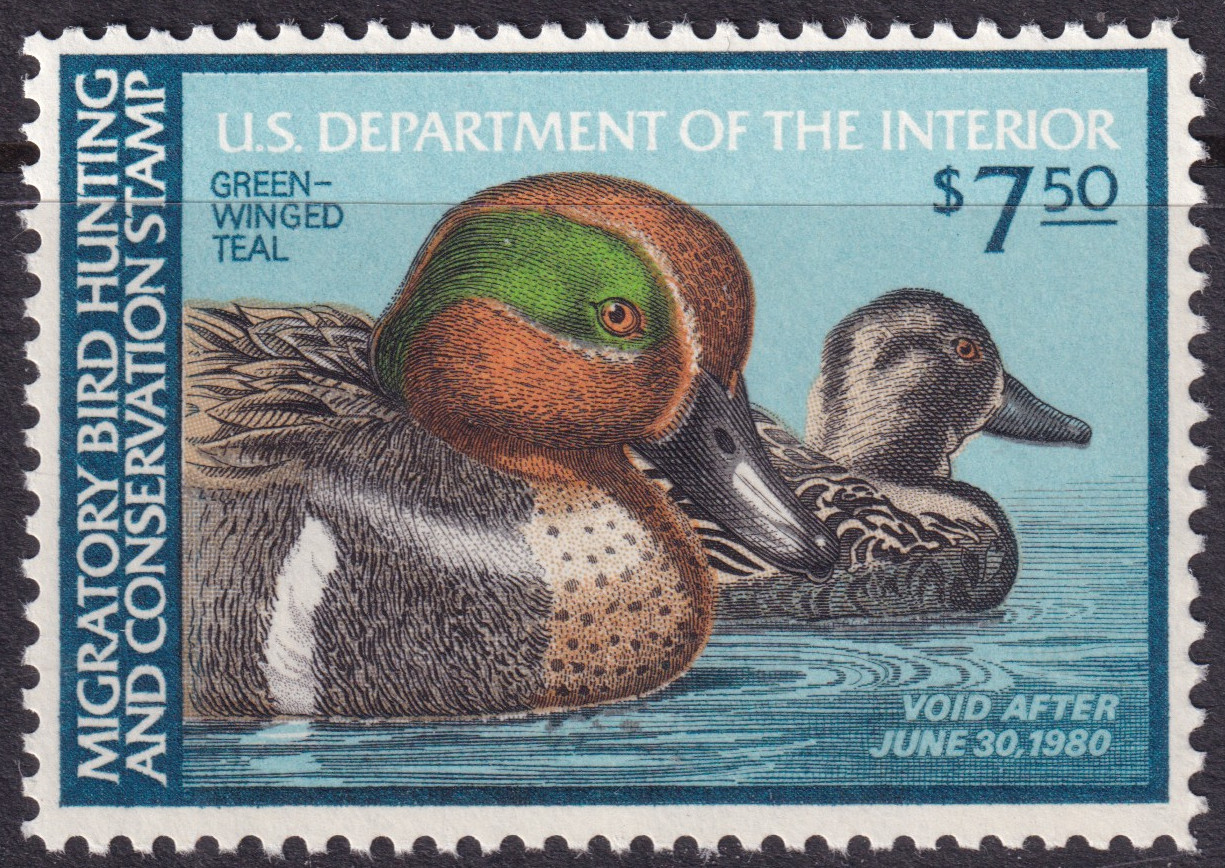 Stamp Picture