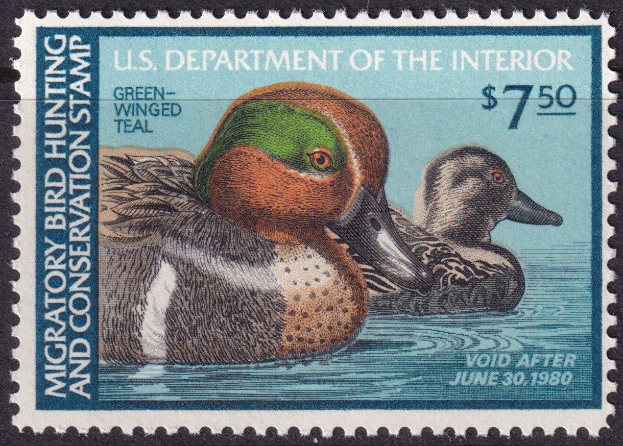 Stamp Picture