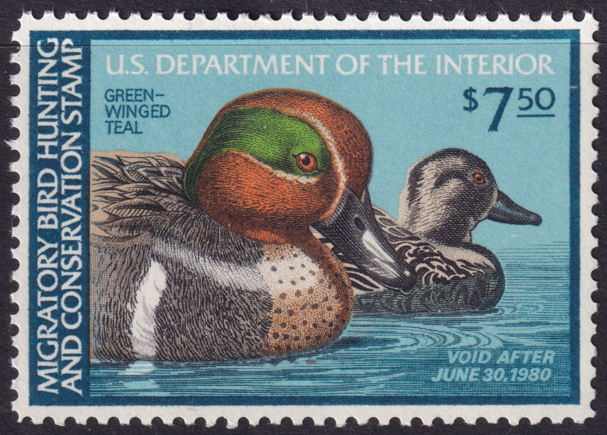 Stamp Picture